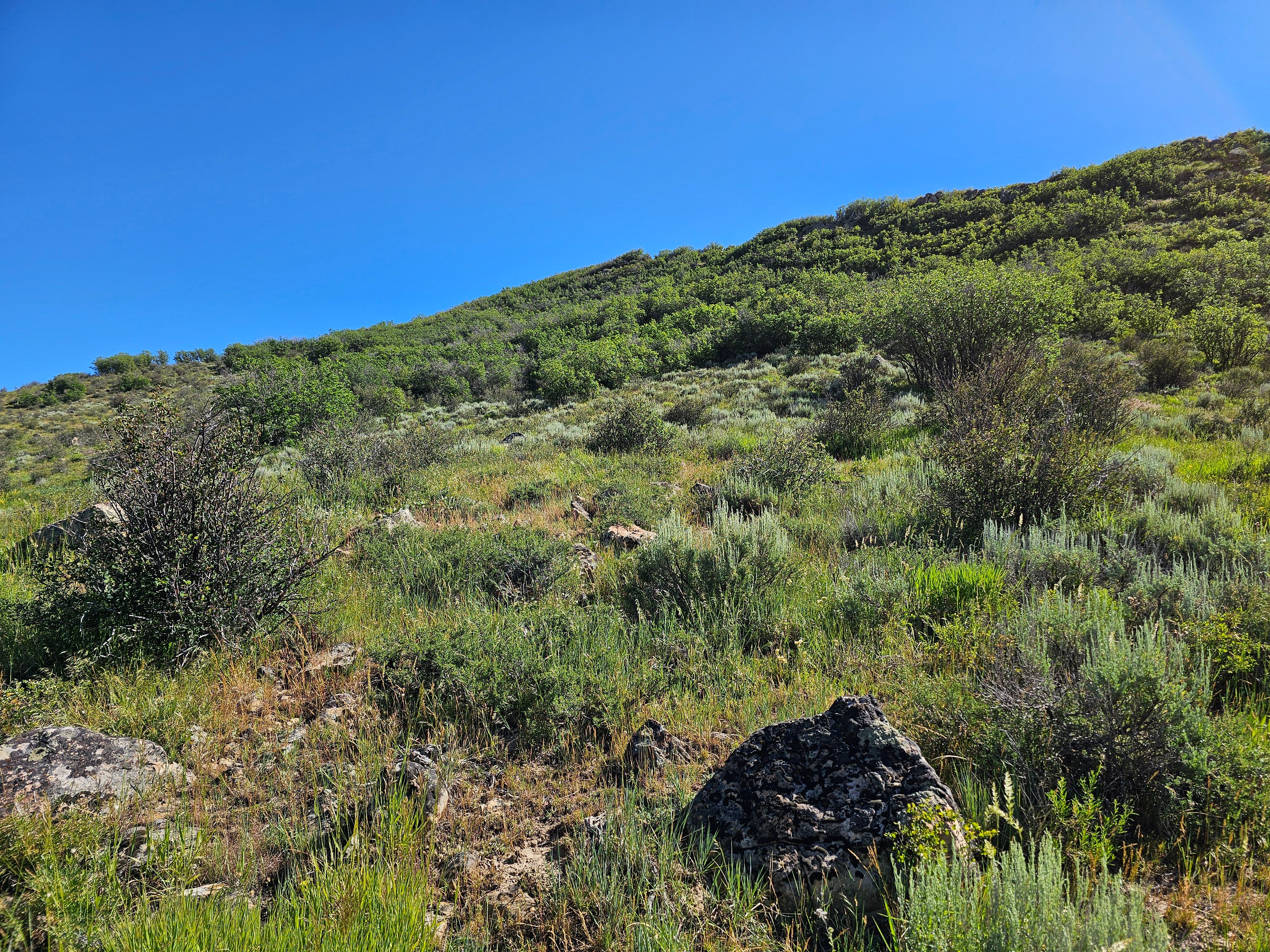  1327 Indian Trail, Steamboat Springs, CO, 80487 - 物件實景
