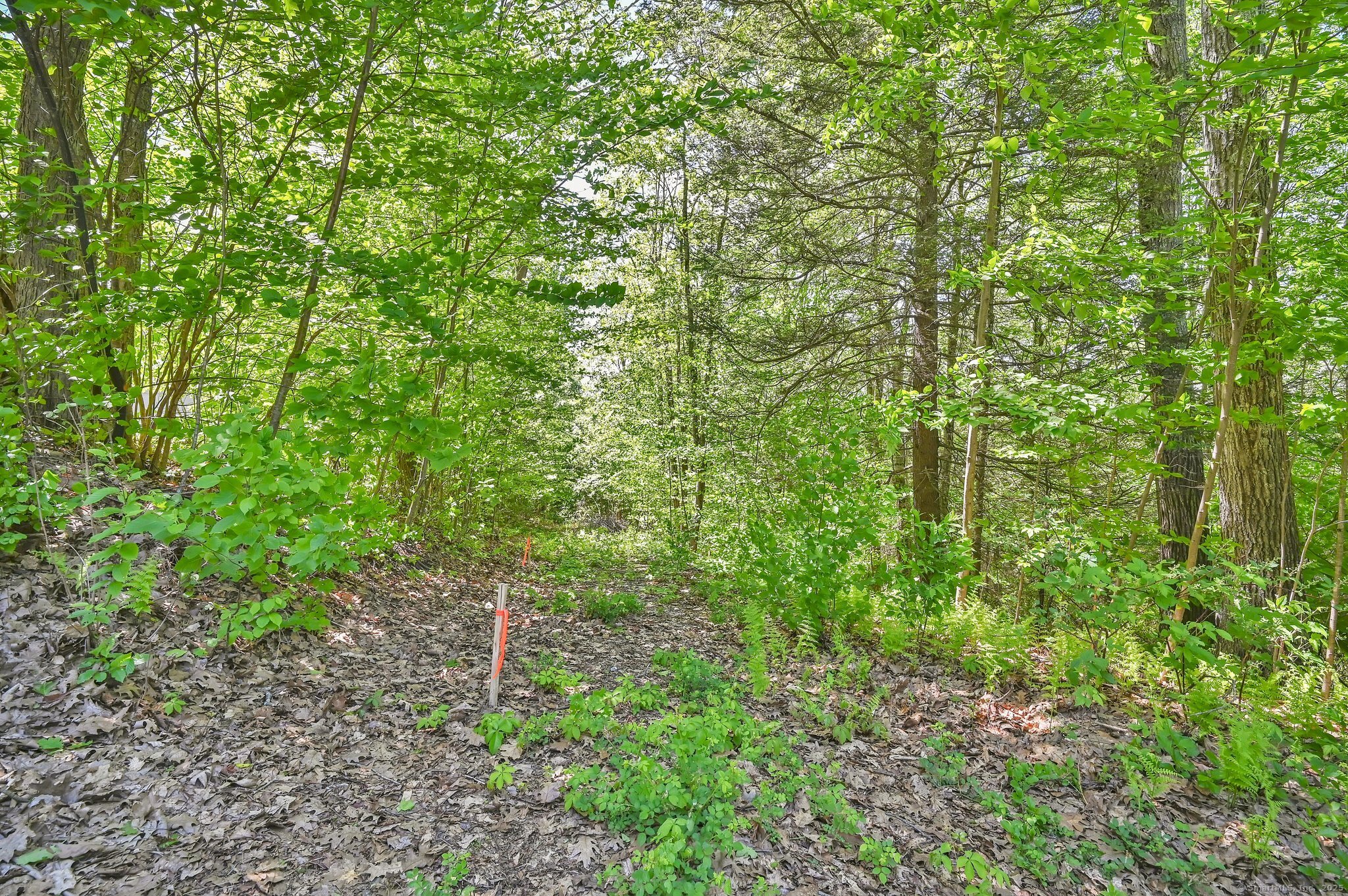 Barkhamsted, Connecticut, 06063, United States, 3 Bedrooms Bedrooms, ,2 BathroomsBathrooms,Residential,For Sale,1968616