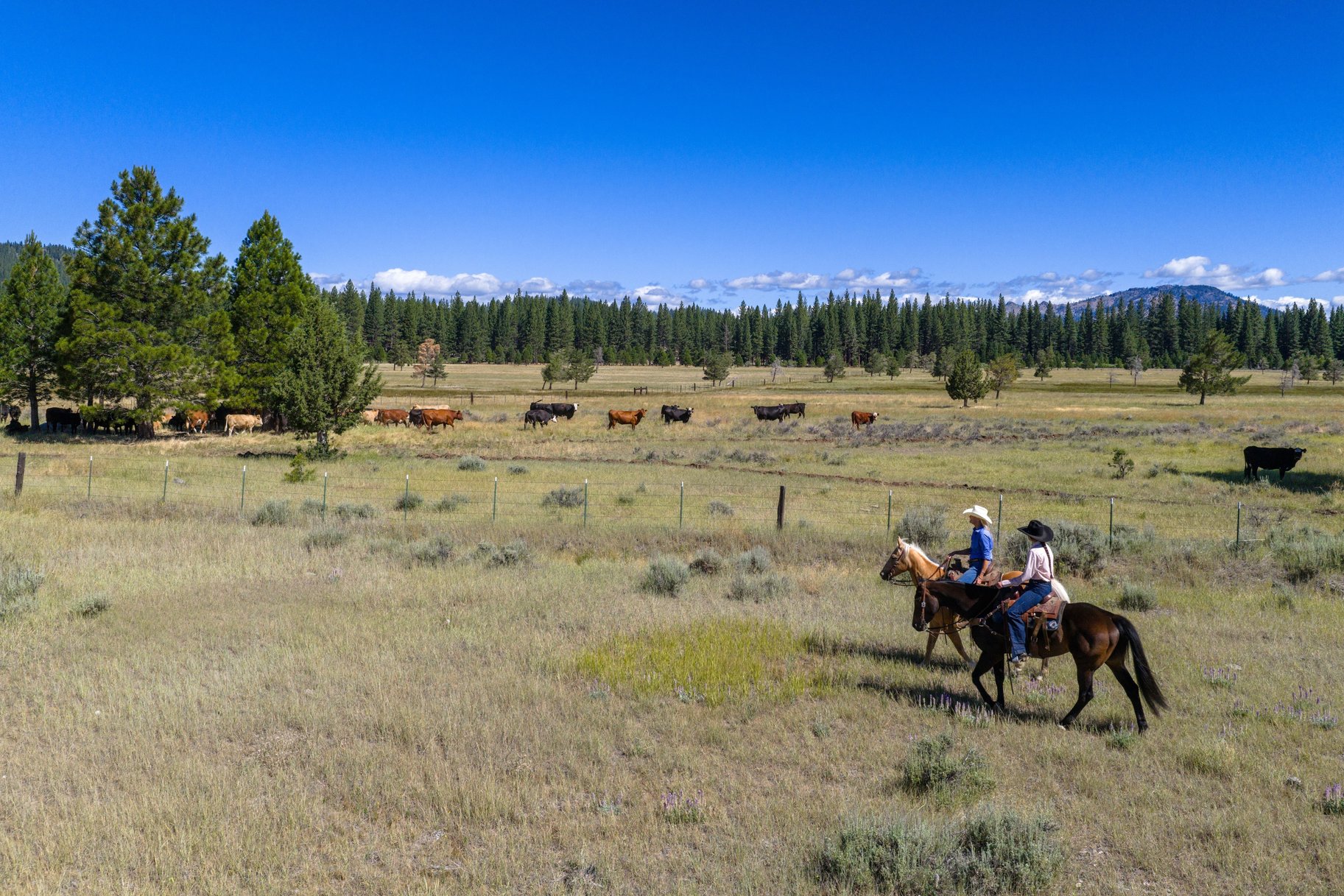  Landmark Ranch in California