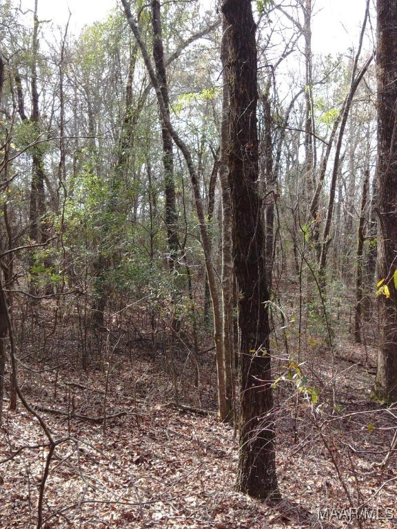 Deatsville, Alabama, 36022, United States, 3 Bedrooms Bedrooms, ,2 BathroomsBathrooms,Residential,For Sale,1834552