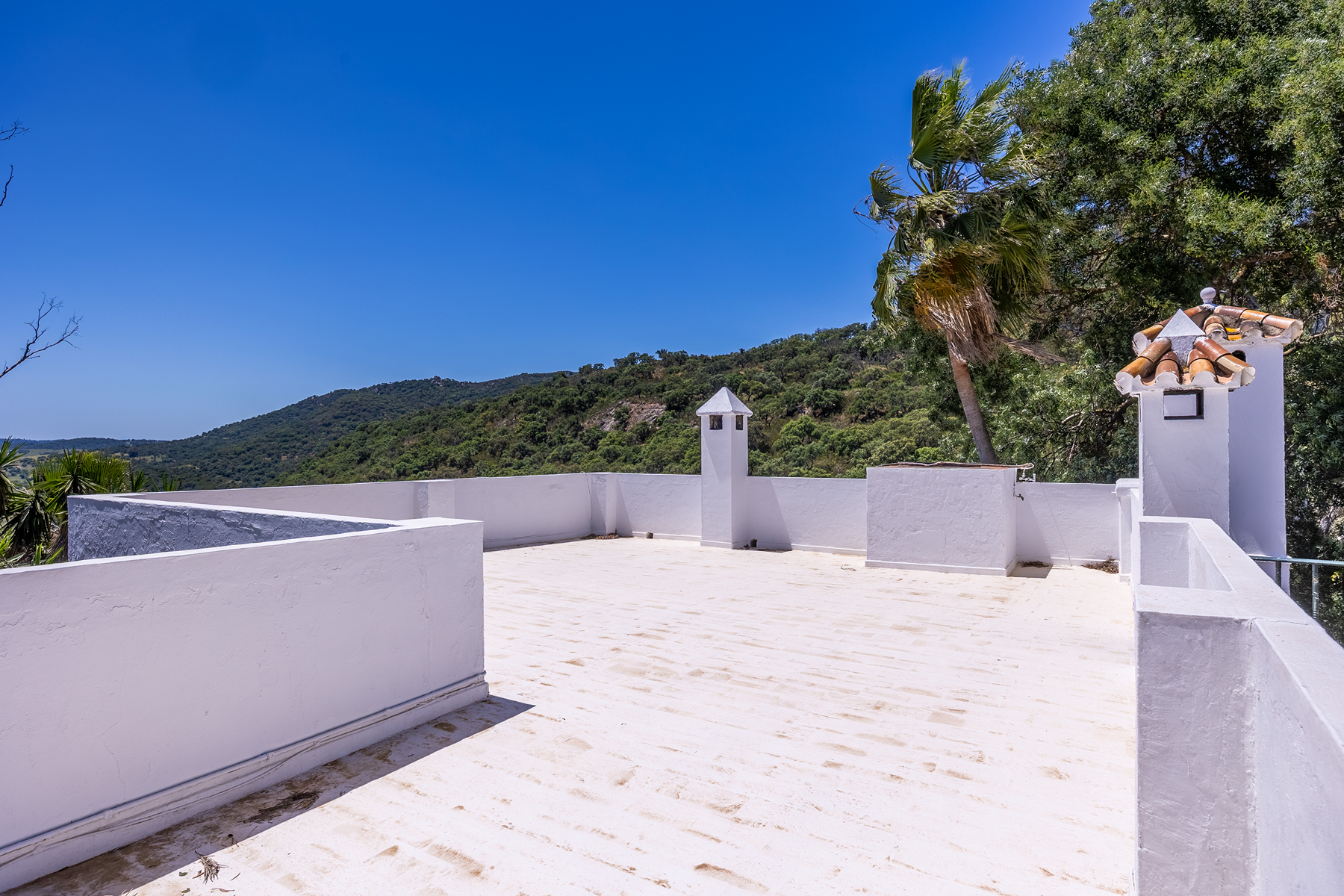  Exclusive Estate in Los Alcornocales Natural Park - 物件實景