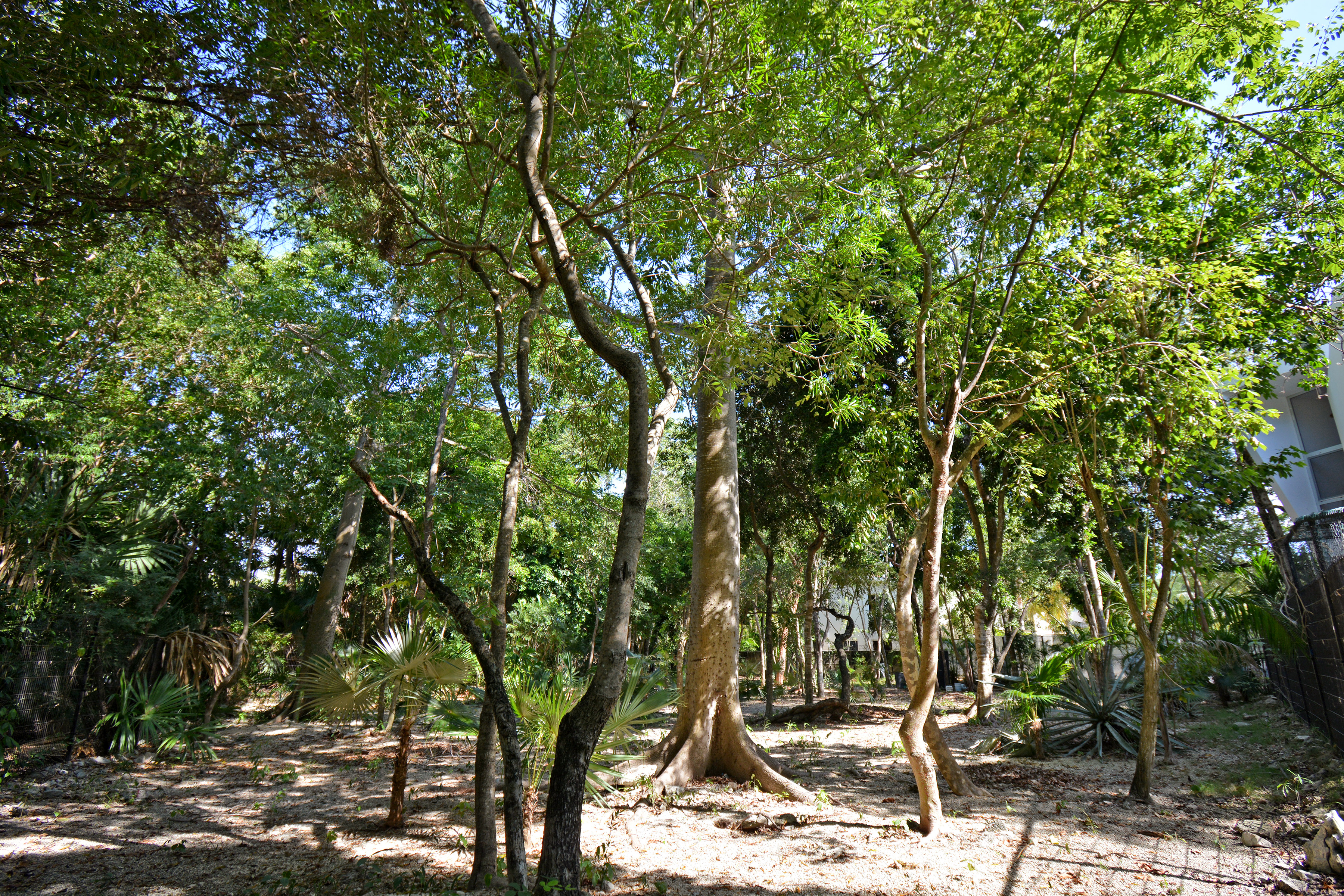  RESIDENTIAL LOT - 物件實景