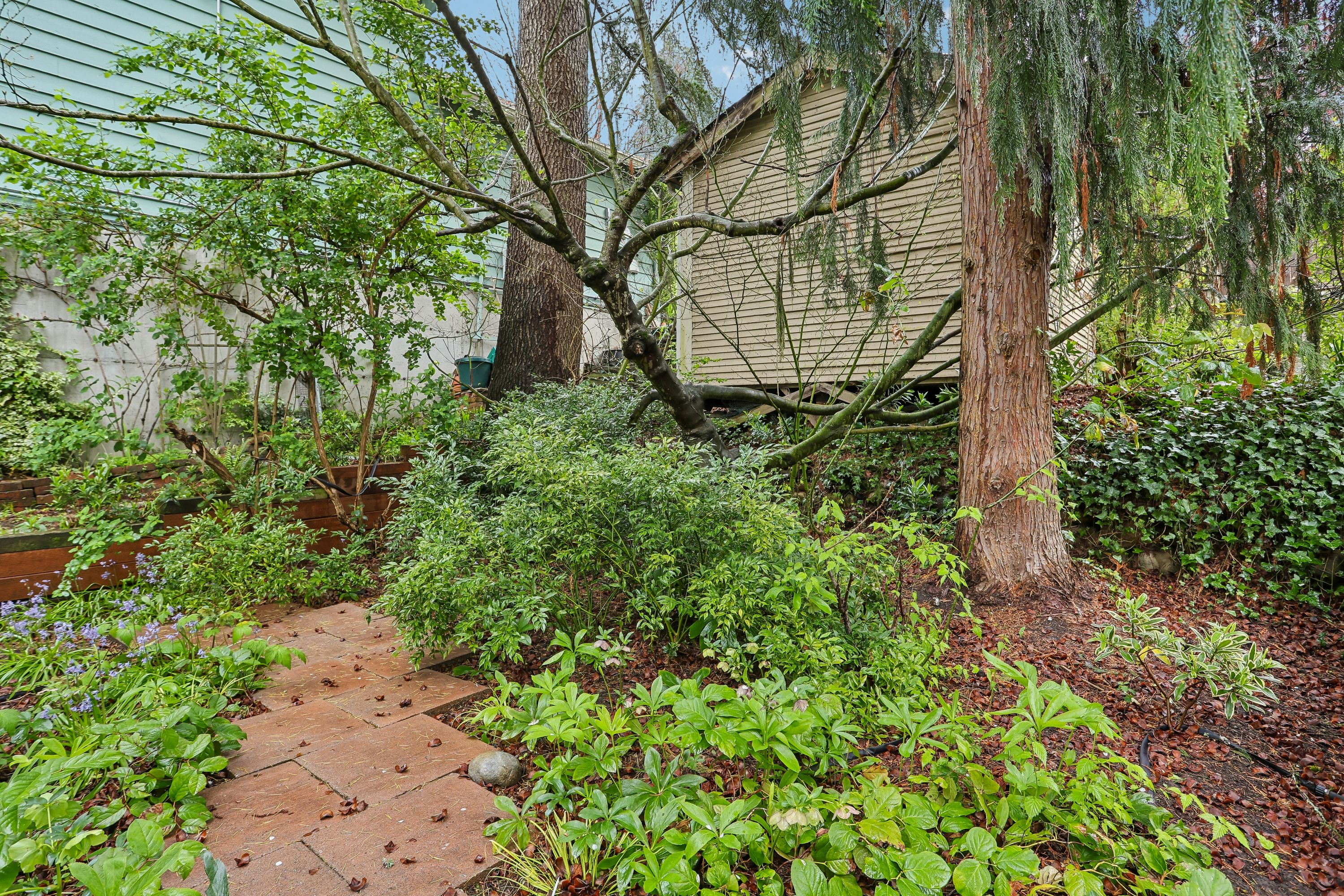  1514 NE 70th St, Seattle, WA 98115 - 物件實景