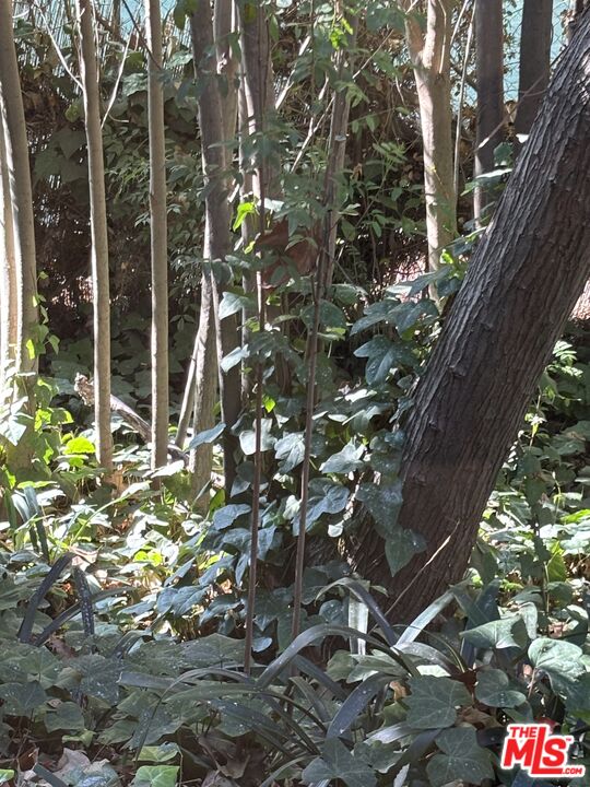 Santa Monica, California, 90402, United States, 3 Bedrooms Bedrooms, ,2 BathroomsBathrooms,Residential,For Sale,2003042