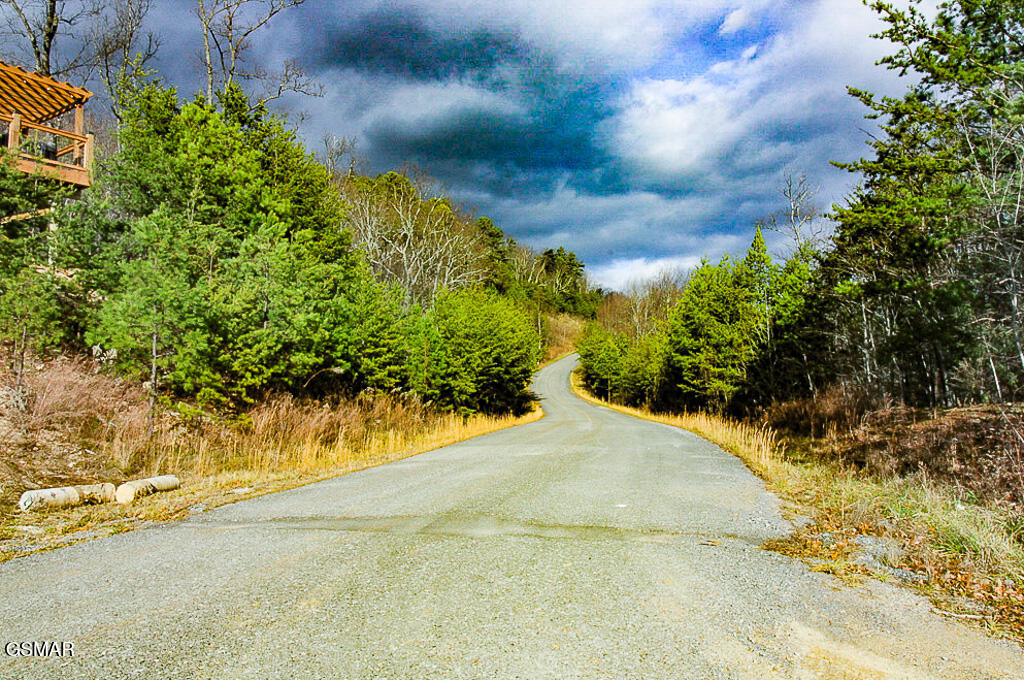 Sevierville, Tennessee, 37876, United States, ,Land,For Sale,2008093