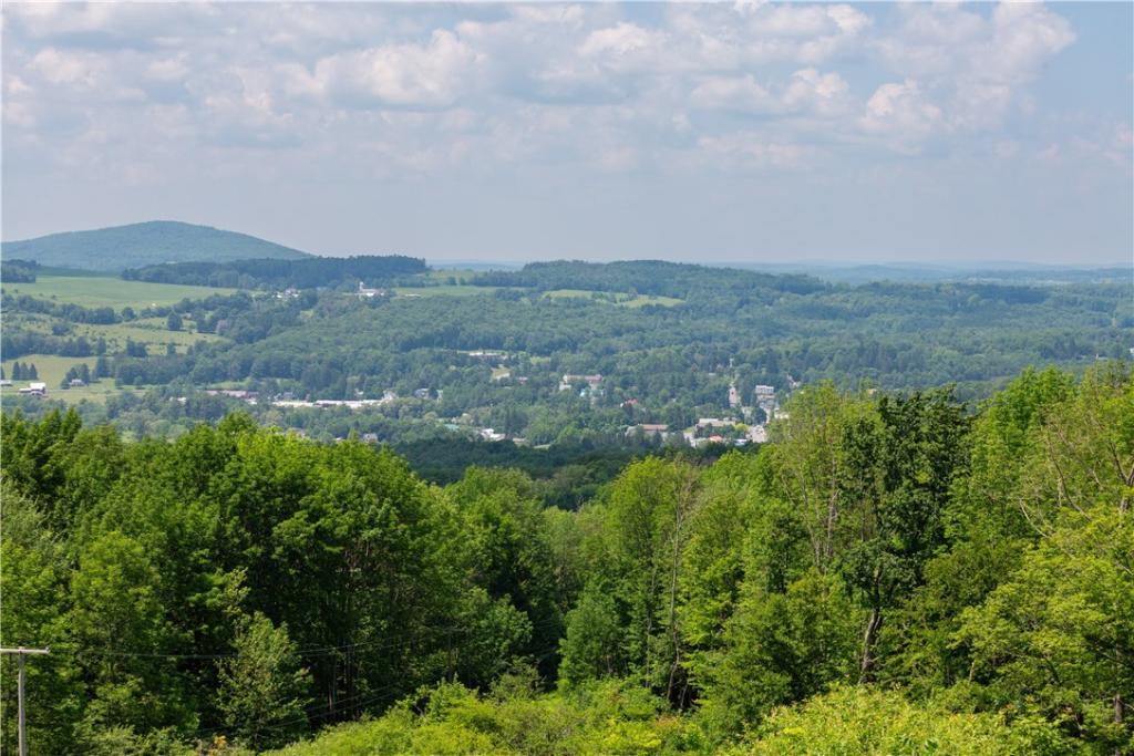 2046 Tower Mountain Road, Stamford, New York, 12167, United States, 3 Bedrooms Bedrooms, ,3 BathroomsBathrooms,Residential,For Sale,2046 Tower Mountain Road,1523402