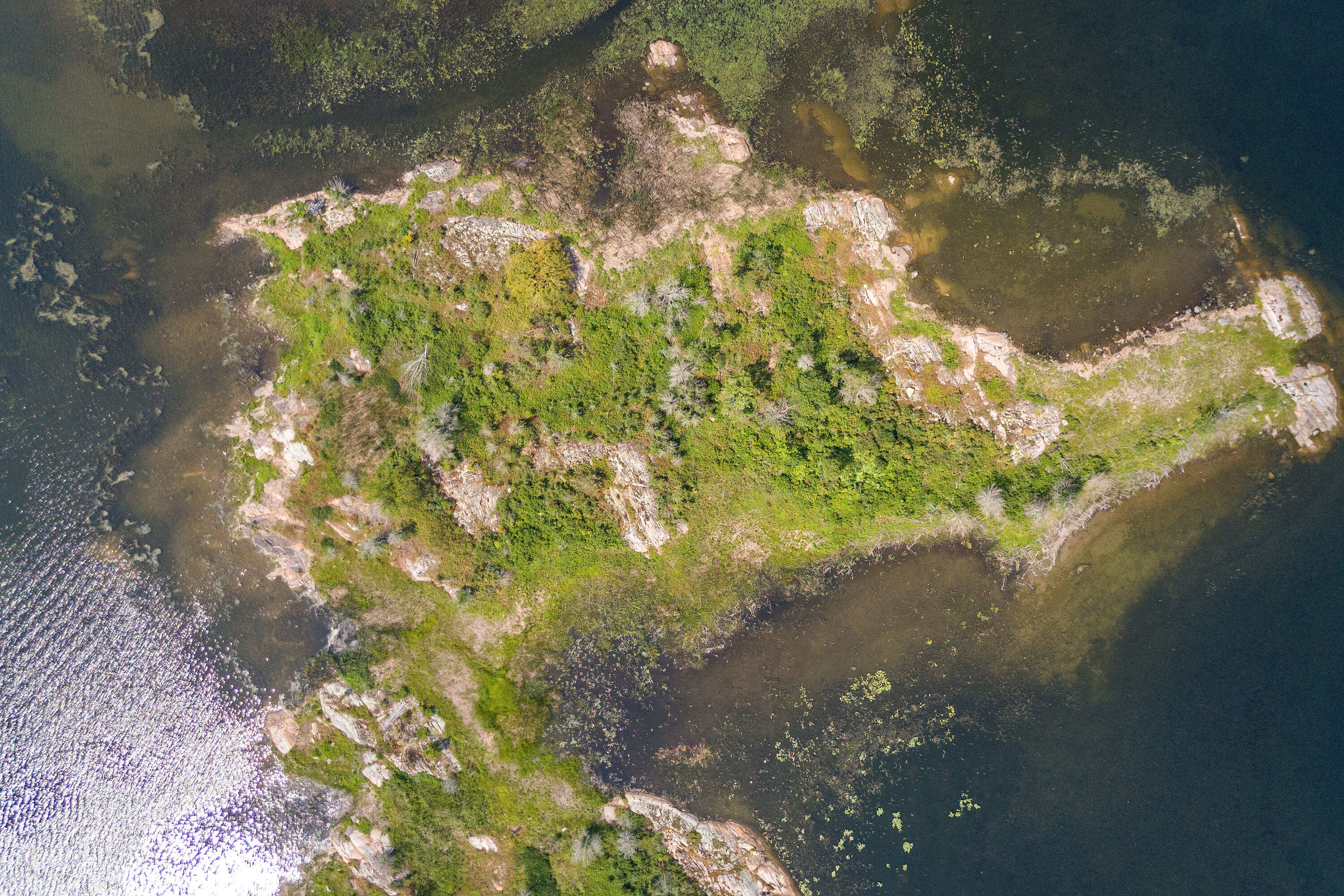  Archipelago On Georgian Bay - 物件實景