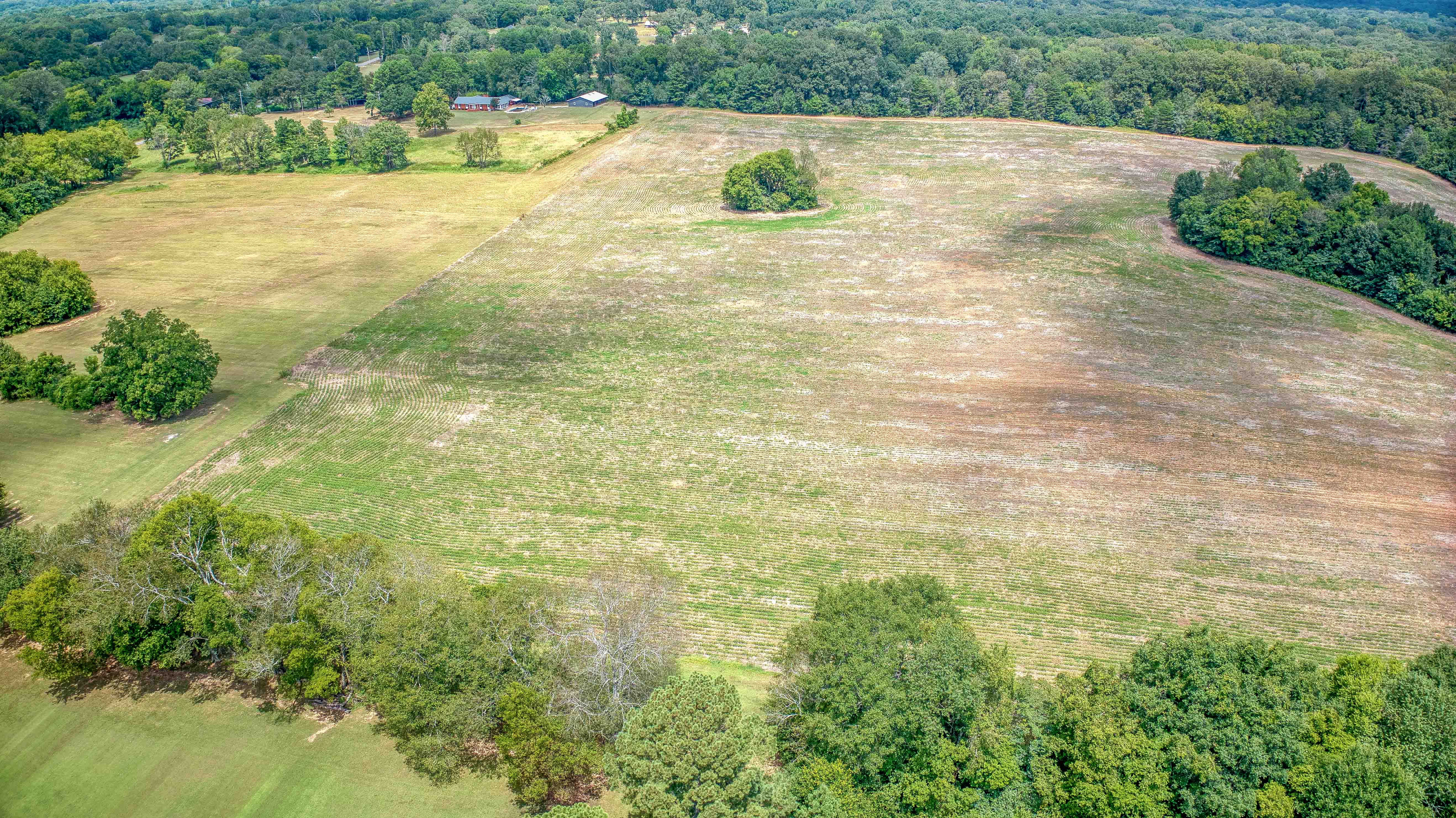 Tuscumbia, Alabama, 35674, United States, ,Land,For Sale,1976669