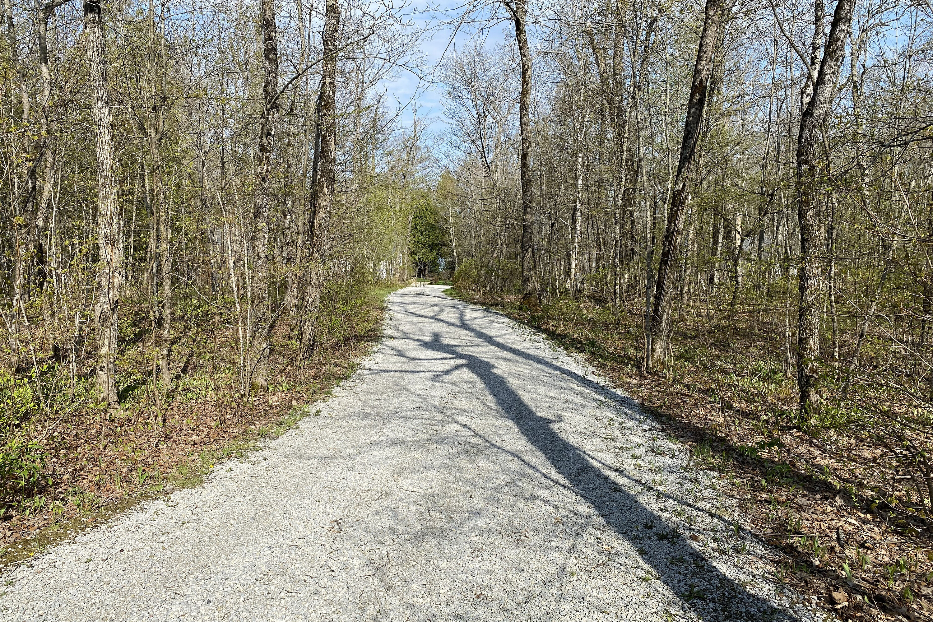  Central Manitoulin, - 物件實景