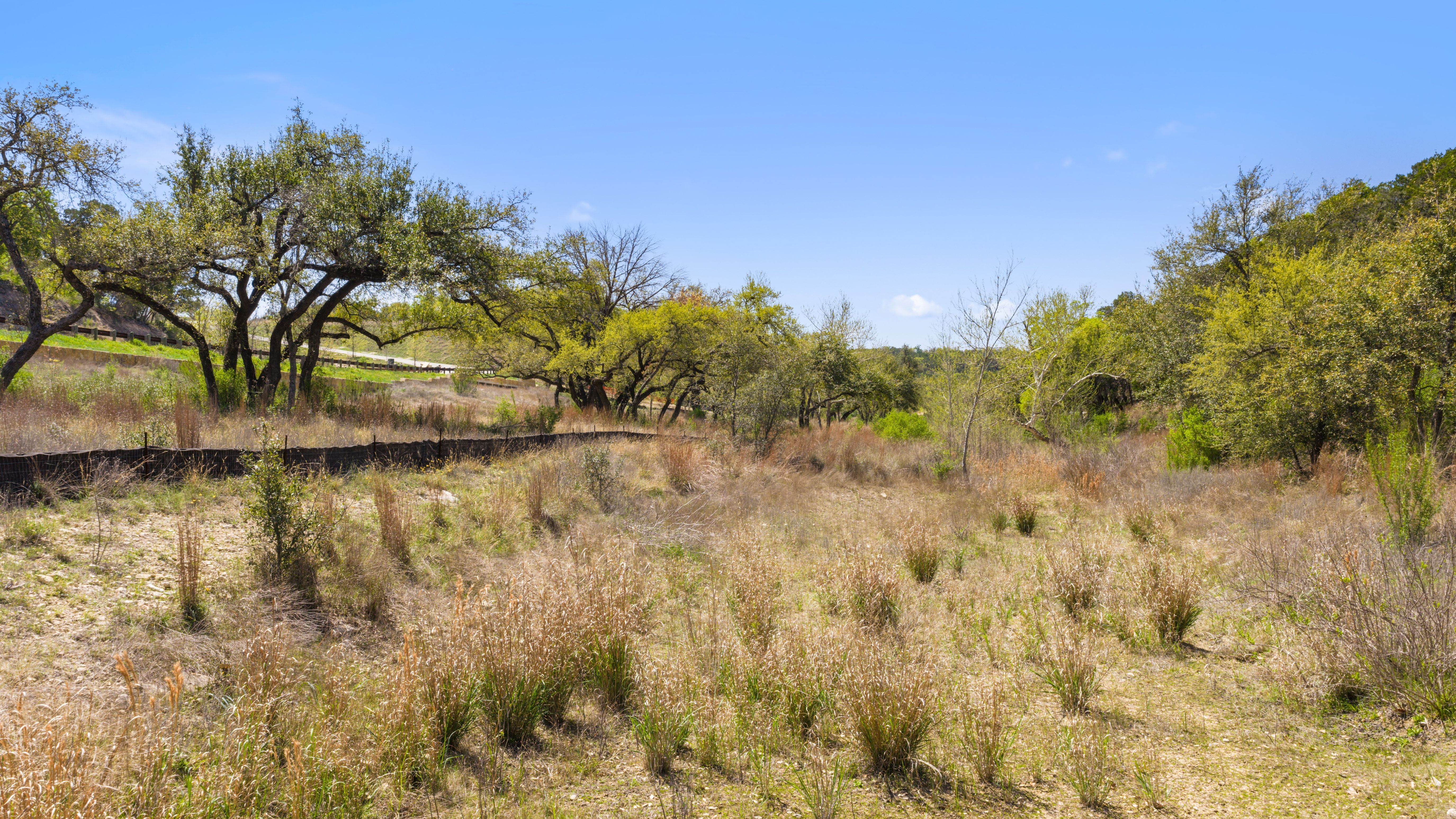  The Crest of Preservation Ranch - 物件實景