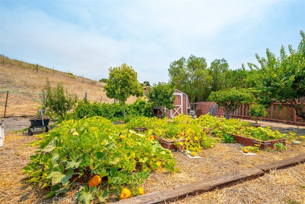 Arroyo Grande, California, 93420, United States, 5 Bedrooms Bedrooms, ,2 BathroomsBathrooms,Residential,For Sale,1982026