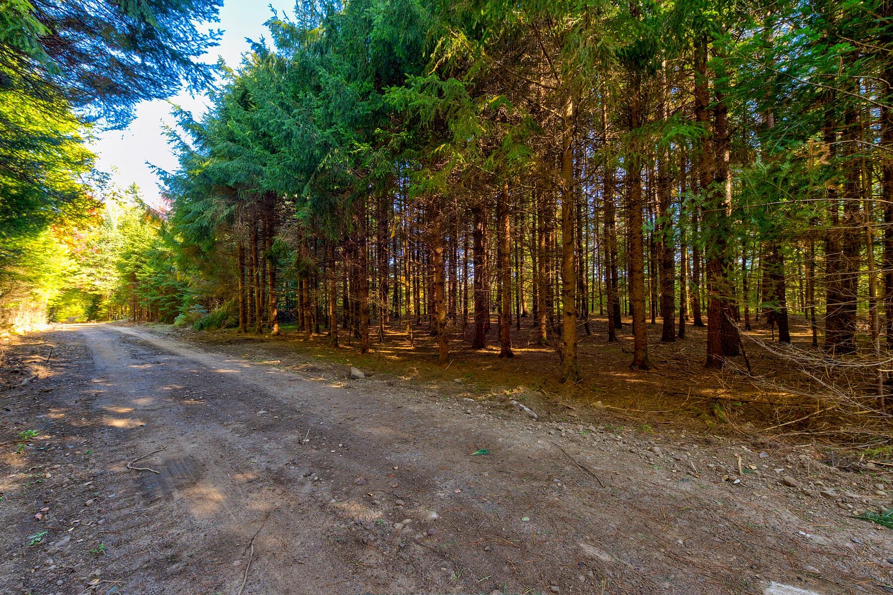  Huberdeau, Laurentides - 物件實景