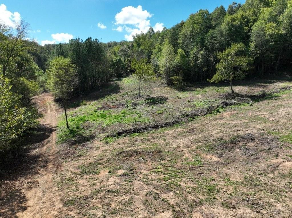 Ringgold, Georgia, 30736, United States, ,Residential,For Sale,1958114