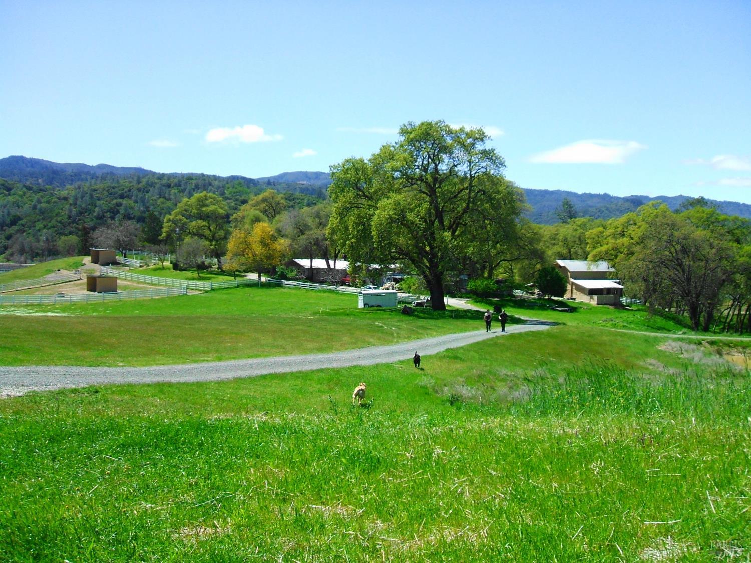 Kelseyville, California, 95451, United States, 3 Bedrooms Bedrooms, ,2 BathroomsBathrooms,Residential,For Sale,1974568