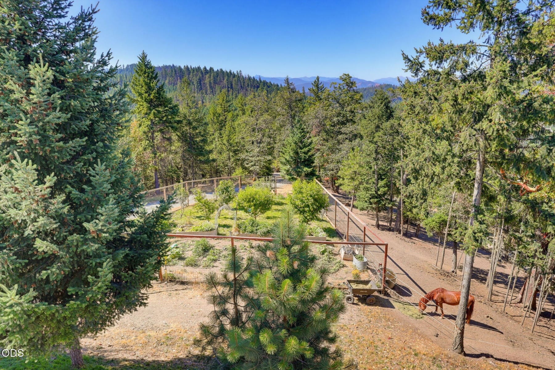  7036 Griffin Lane Jacksonville, OR 97530 - 物件實景
