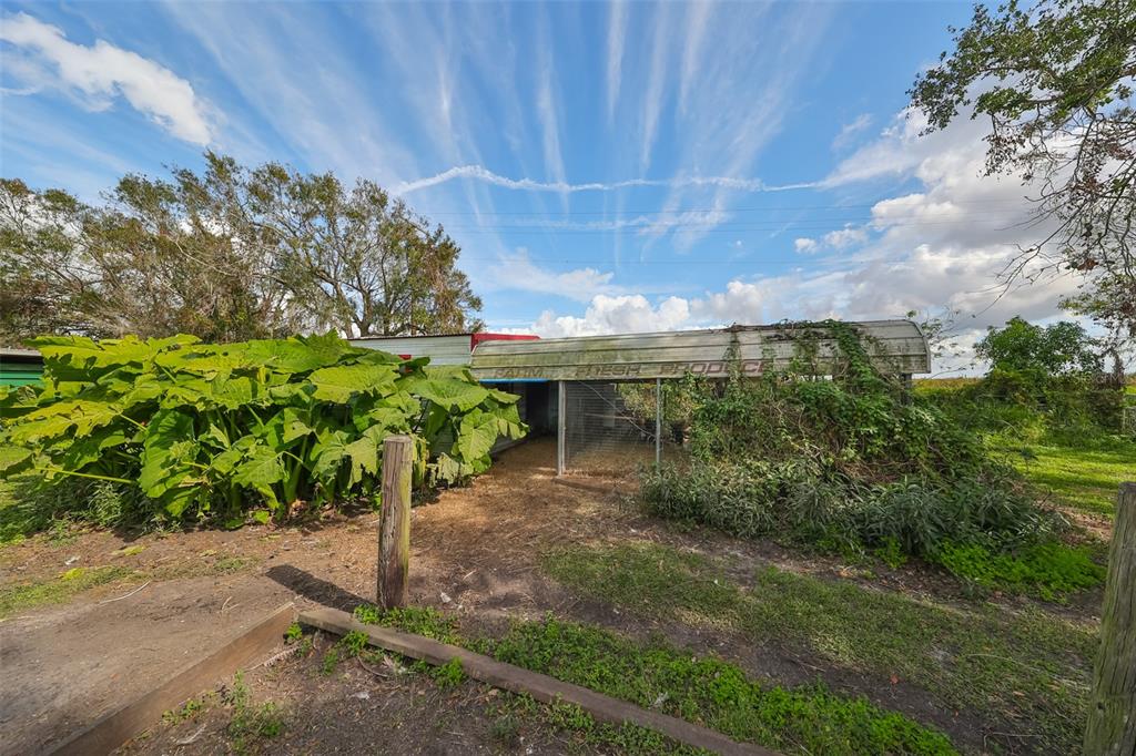 Wimauma, Florida, 33598, United States, ,Land,For Sale,1975638