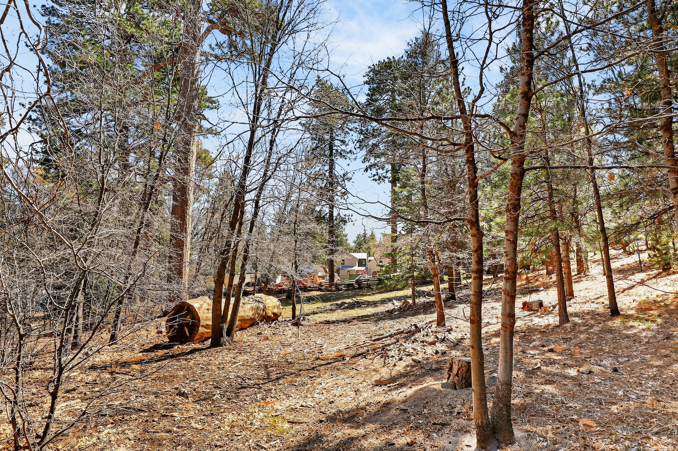  0 Cepu Rd, Running Springs , CA 92382 - 物件實景