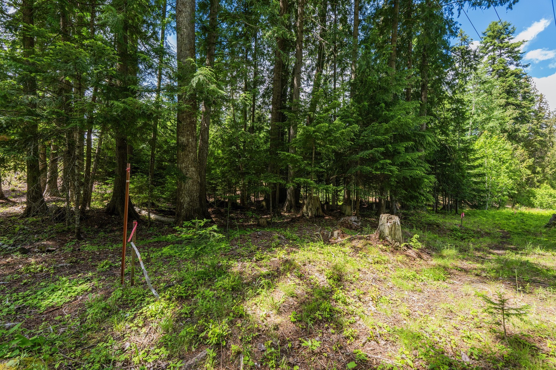  Priest Lake Idaho Building Lots - 物件實景