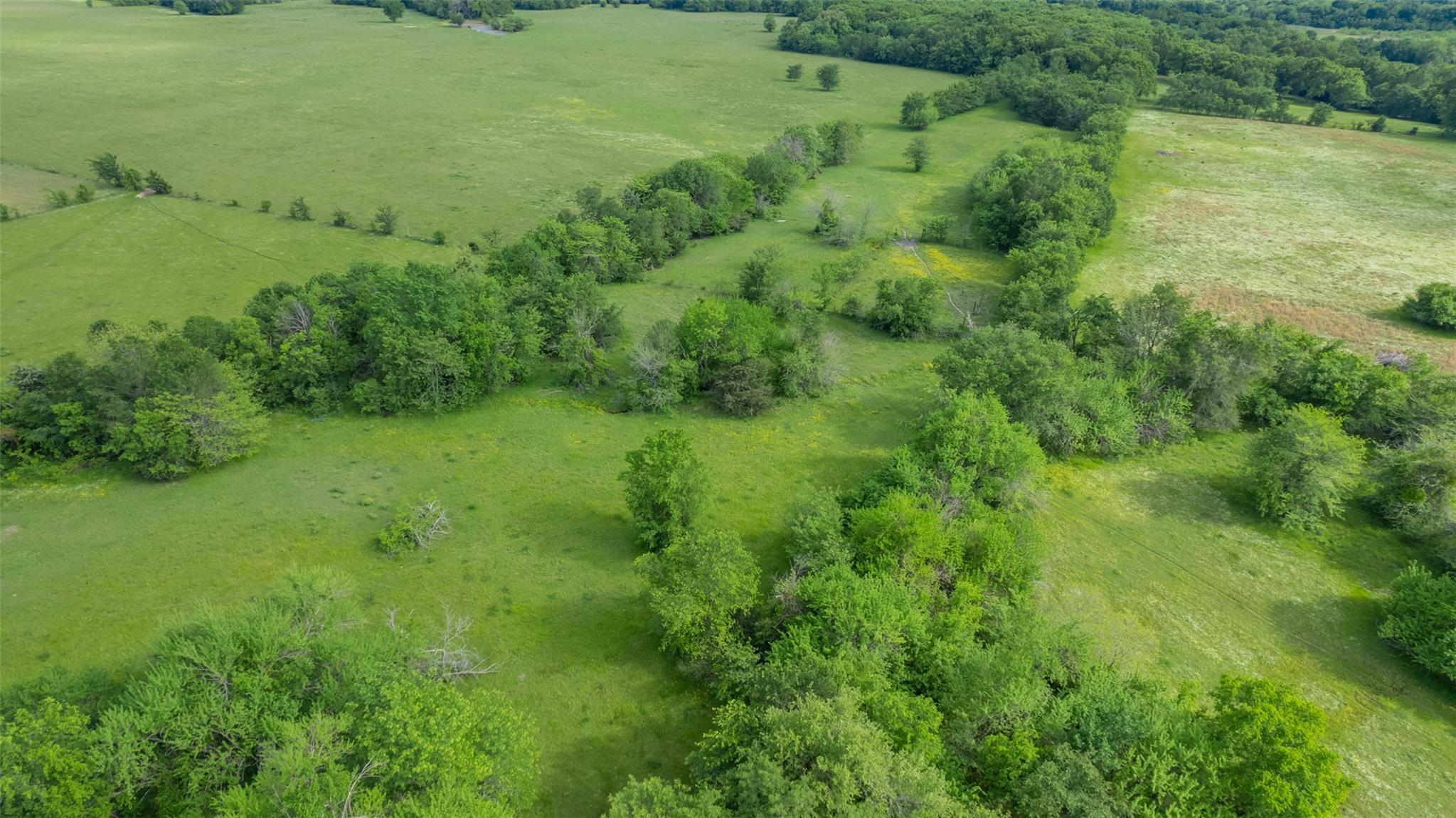 Commerce, Texas, 75428, United States, ,Residential,For Sale,1810631