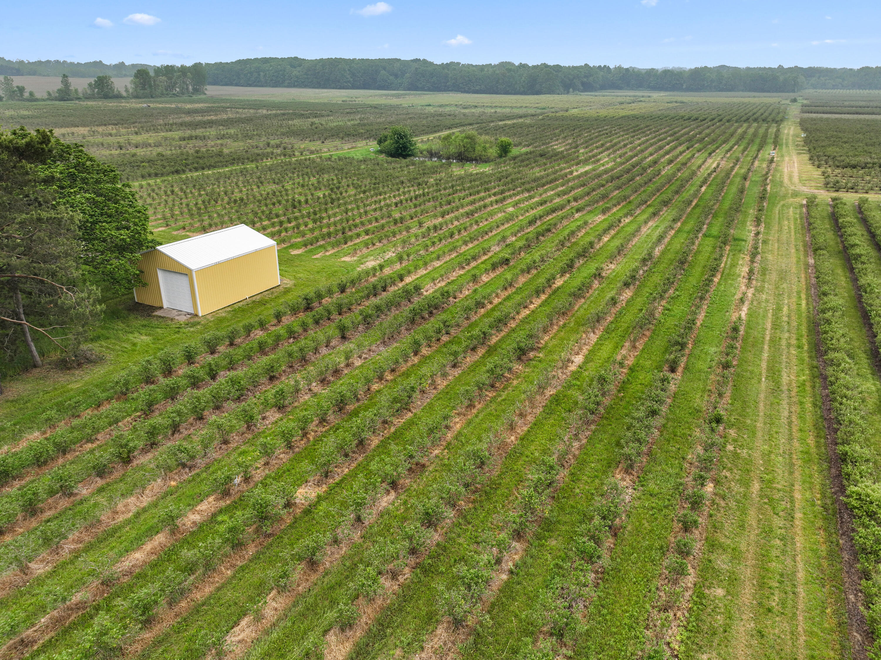 Benton Harbor, Michigan, 49022, United States, ,Land,For Sale,1848947