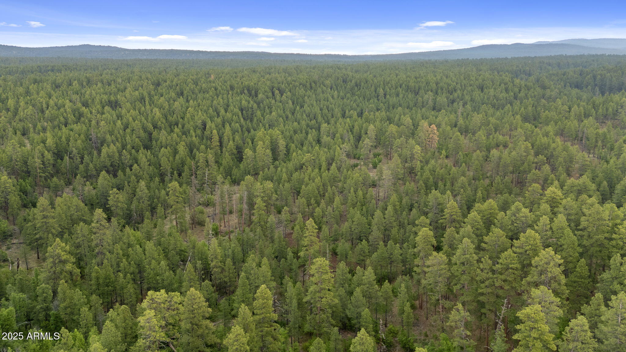 Munds Park, Arizona, 86017, United States, ,Land,For Sale,1865500