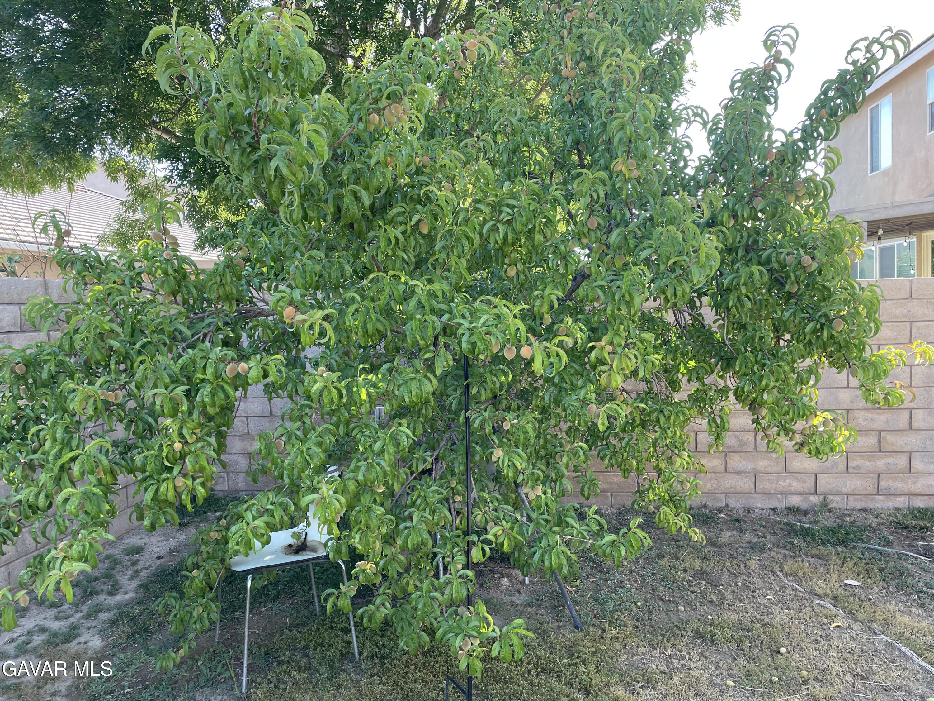 Lancaster, California, 93536, United States, 4 Bedrooms Bedrooms, ,3 BathroomsBathrooms,Residential,For Sale,2025123