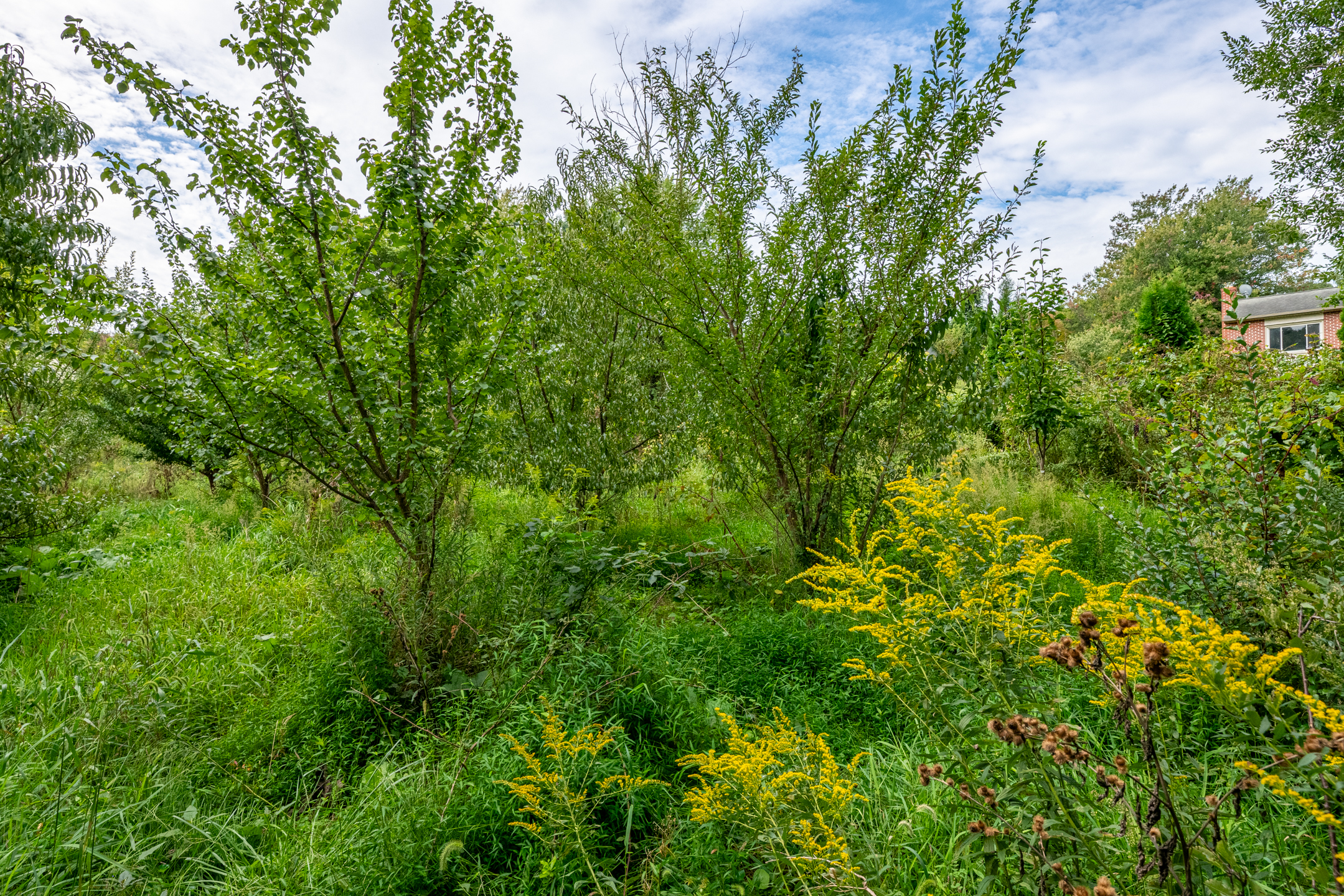  0 River Rd, Pequea, PA 17565 - 物件實景