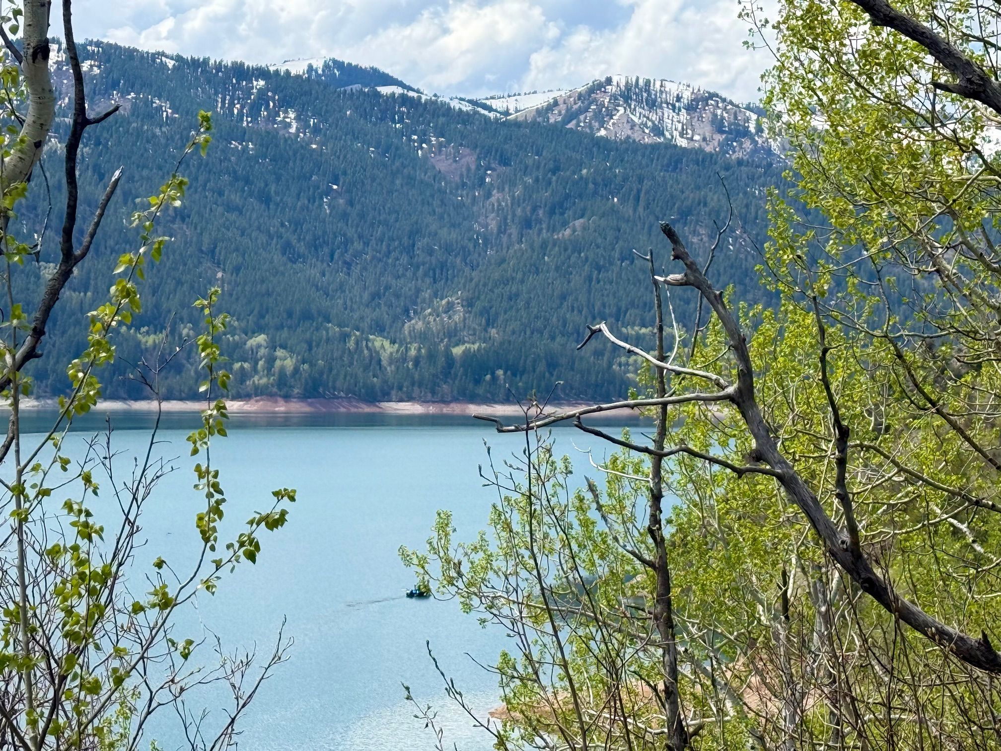  Property Overlooking the Palisades Reservoir - 物件實景