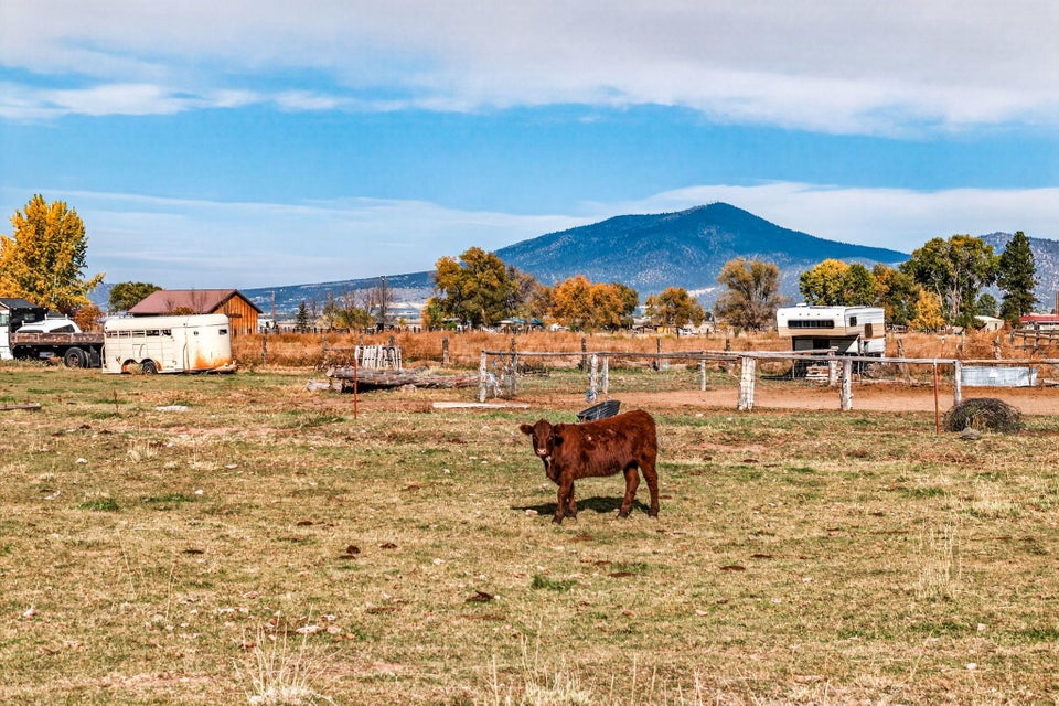 Prineville, Oregon, 97754, United States, 3 Bedrooms Bedrooms, ,1 BathroomBathrooms,Residential,For Sale,1971194