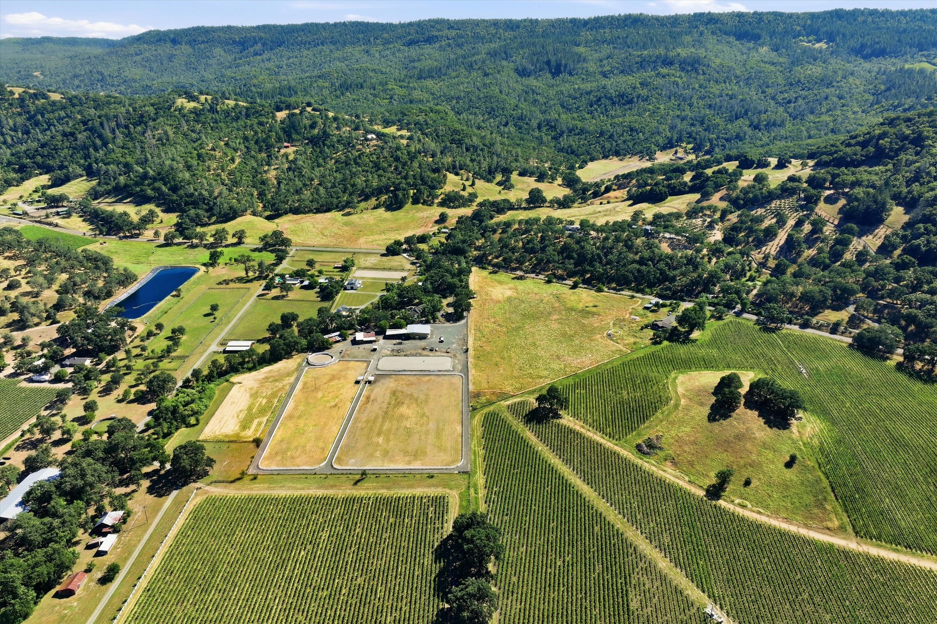  Wine Country Ranch Living - 物件實景