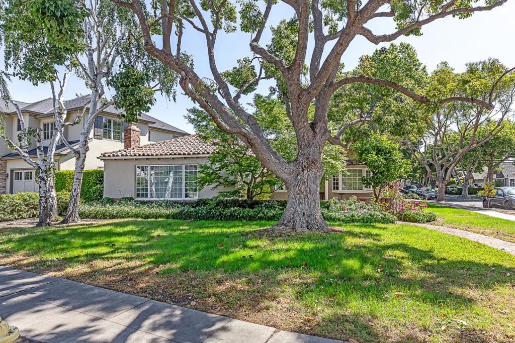 San Jose, California, 95125, United States, 3 Bedrooms Bedrooms, ,2 BathroomsBathrooms,Residential,For Sale,1825152