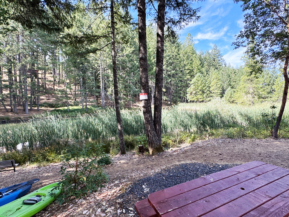 Willits, California, 95490, United States, 2 Bedrooms Bedrooms, ,2 BathroomsBathrooms,Residential,For Sale,1943077