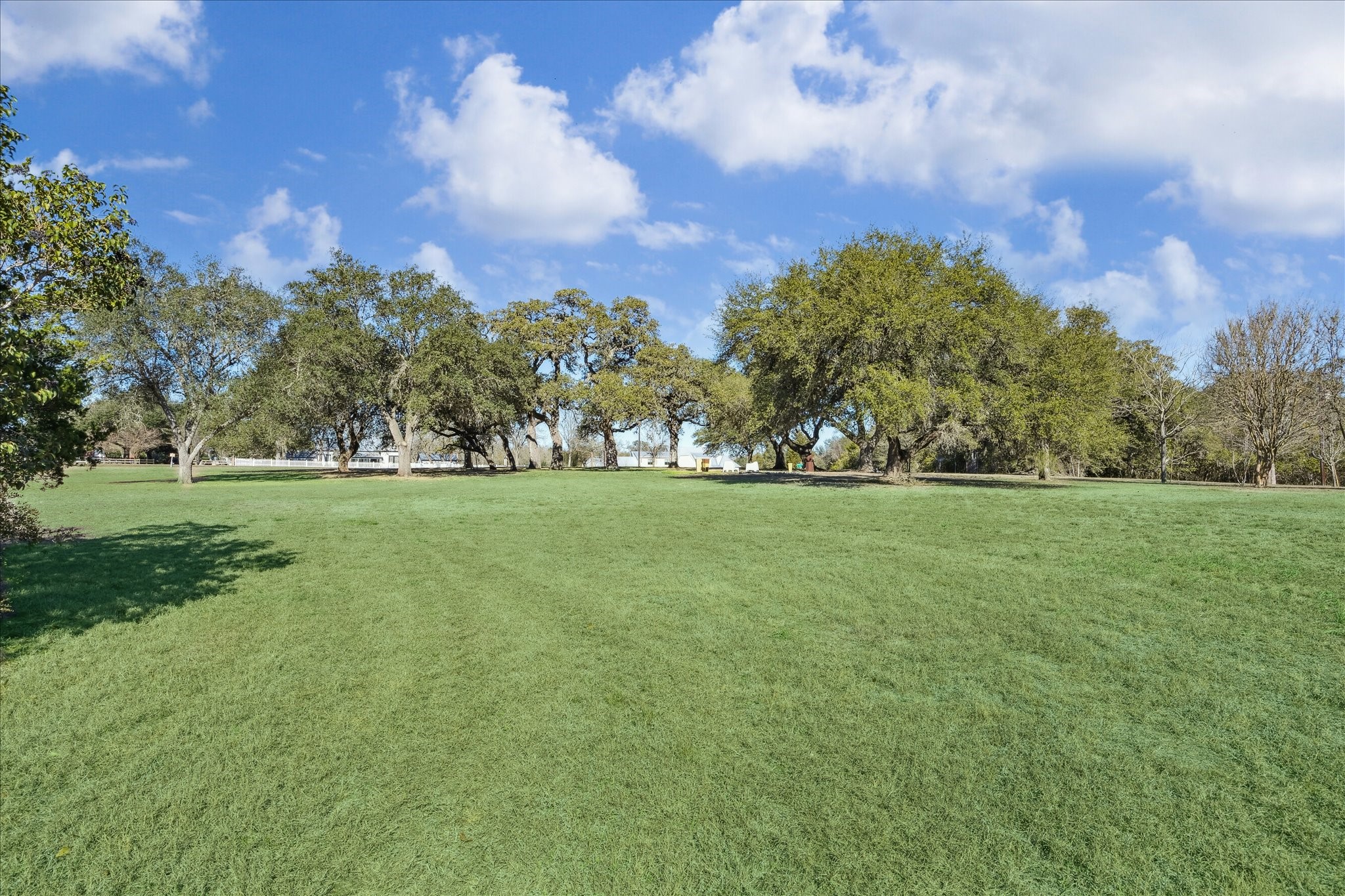 509 N Live Oak Street - 物件實景