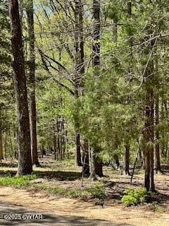 Cedar Grove, Tennessee, 38321, United States, 3 Bedrooms Bedrooms, ,3 BathroomsBathrooms,Residential,For Sale,1795331