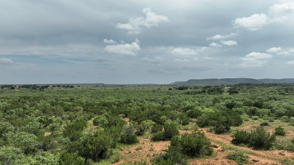 Tennyson, Texas, 76953, United States, ,Land,For Sale,1982007
