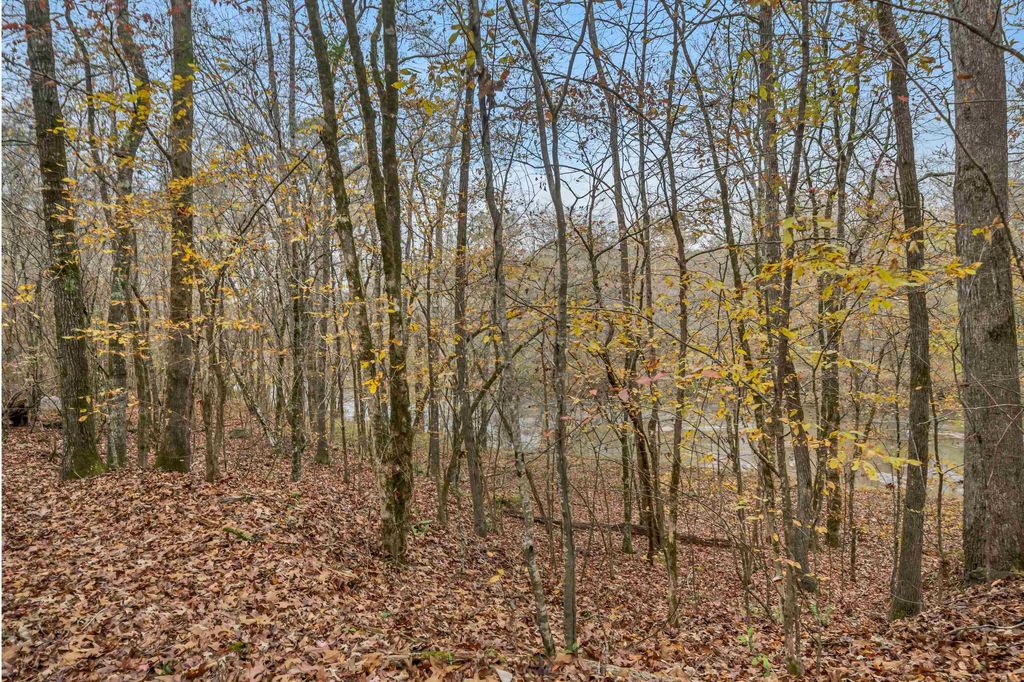 6.04 ac LINCHBURG ROAD, Eatonton, Georgia, 31024, United States, ,Land,For Sale,6.04 ac LINCHBURG ROAD,1683255