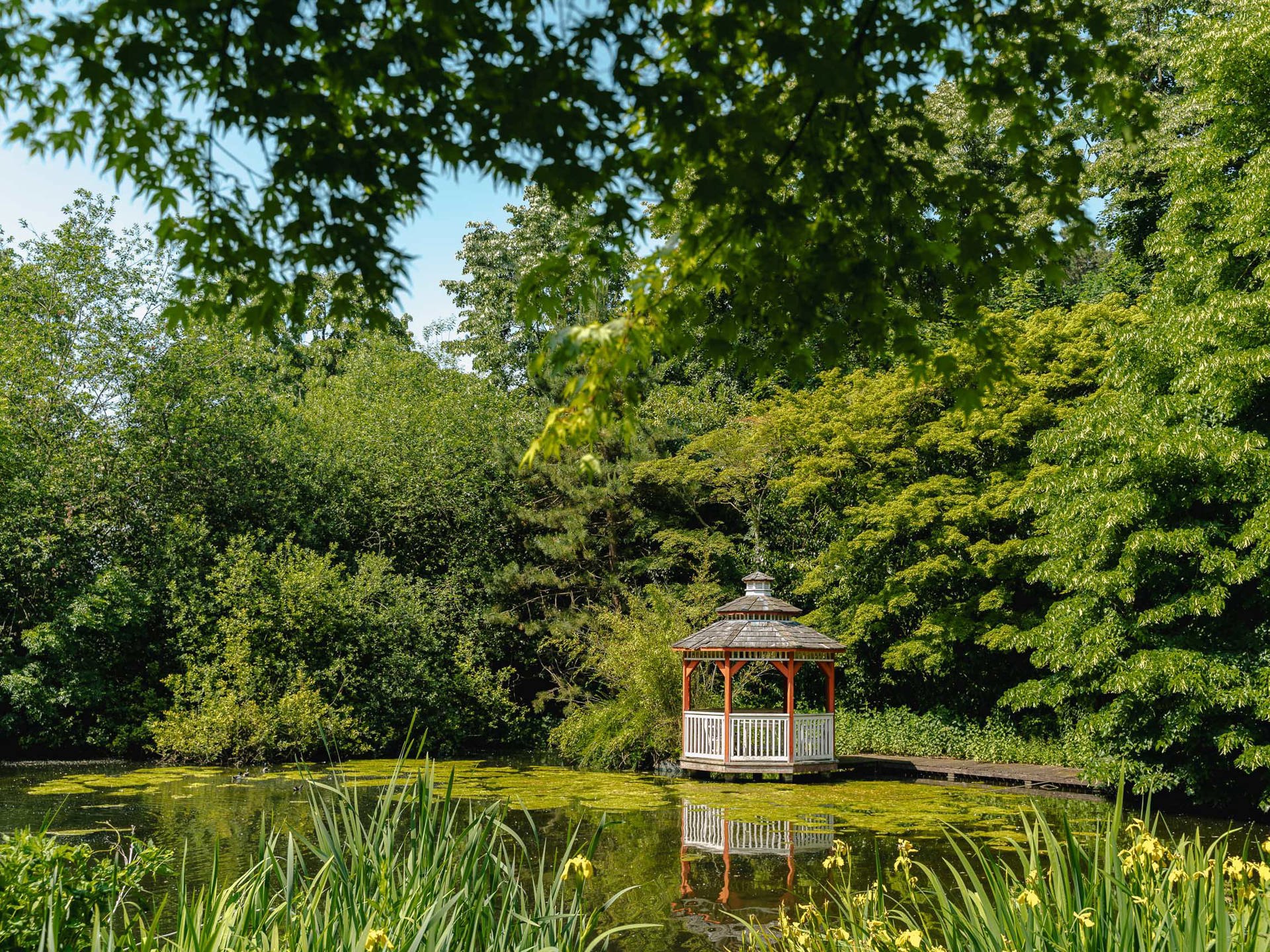  Domaine de Louvrange - 物件實景