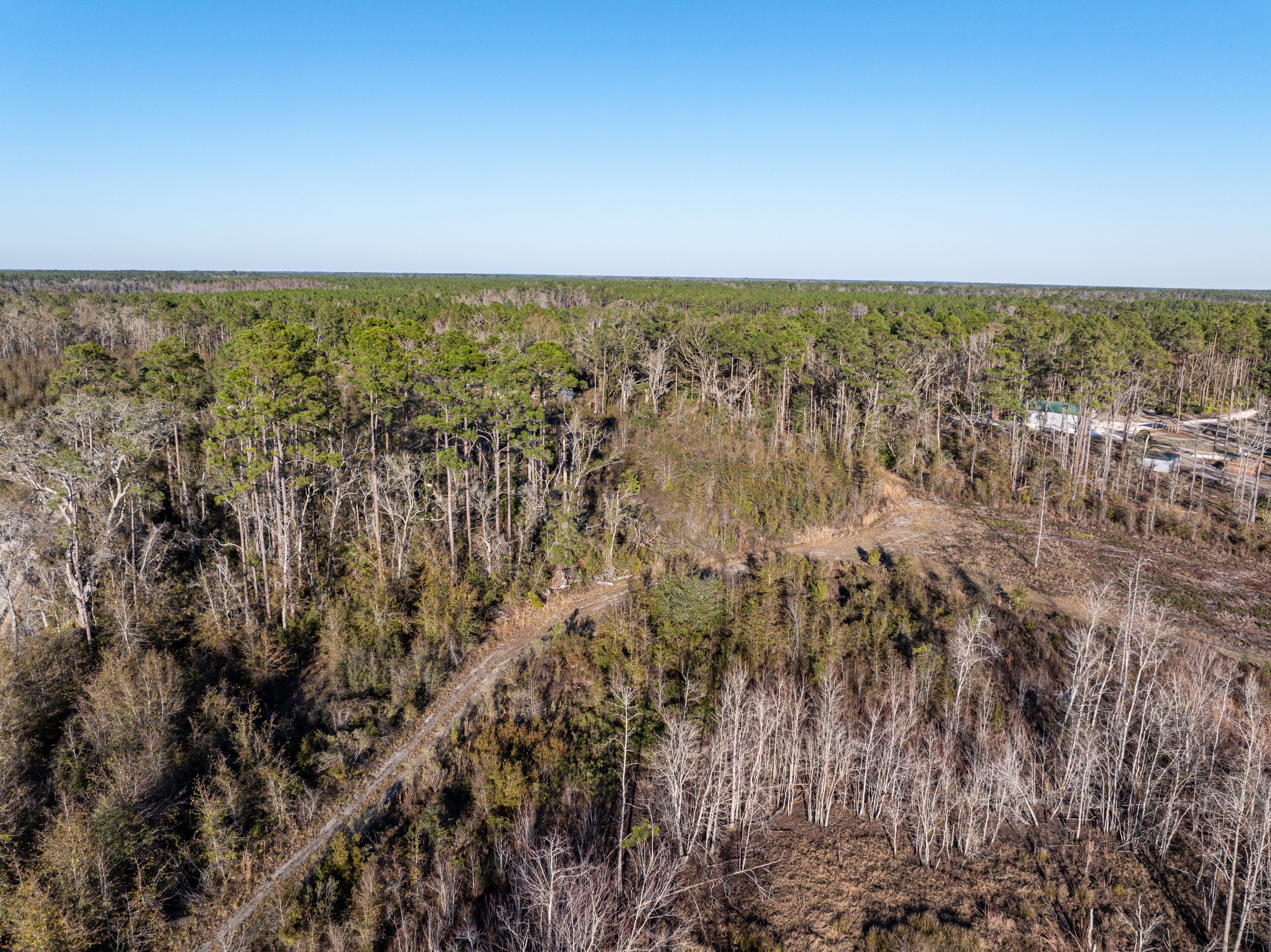 2418 NE OMAR TER, Lake City, Florida, 32055, United States, ,Land,For Sale,2418 NE OMAR TER,1680072