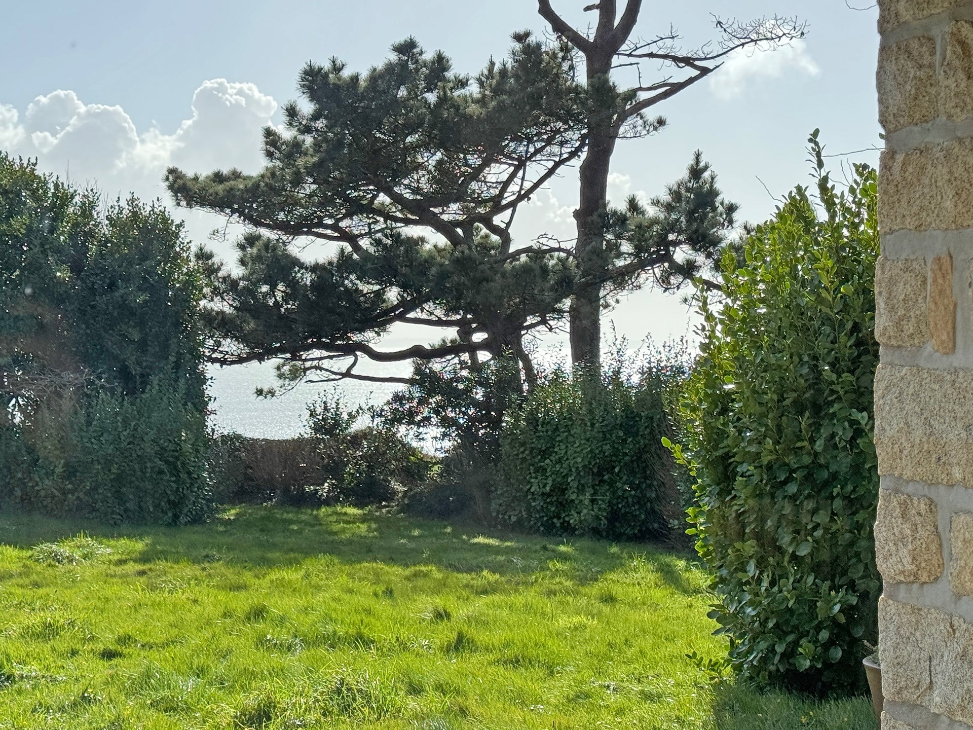  CROZON, BETWEEN MOORLAND, PINES AND HEATHER, WITH SEA VIEW - 物件實景