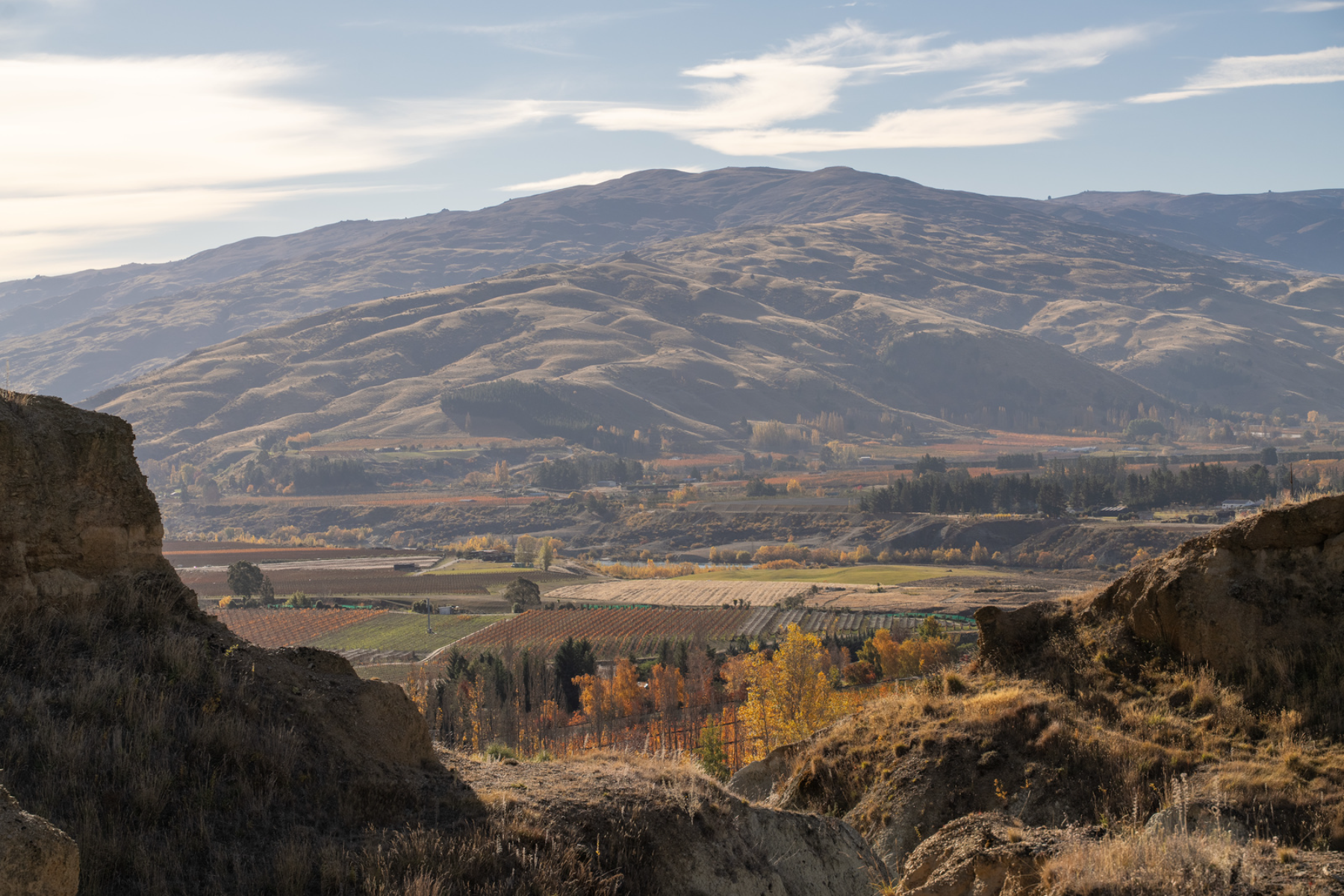  A Rare Bannockburn Landholding - 物件實景