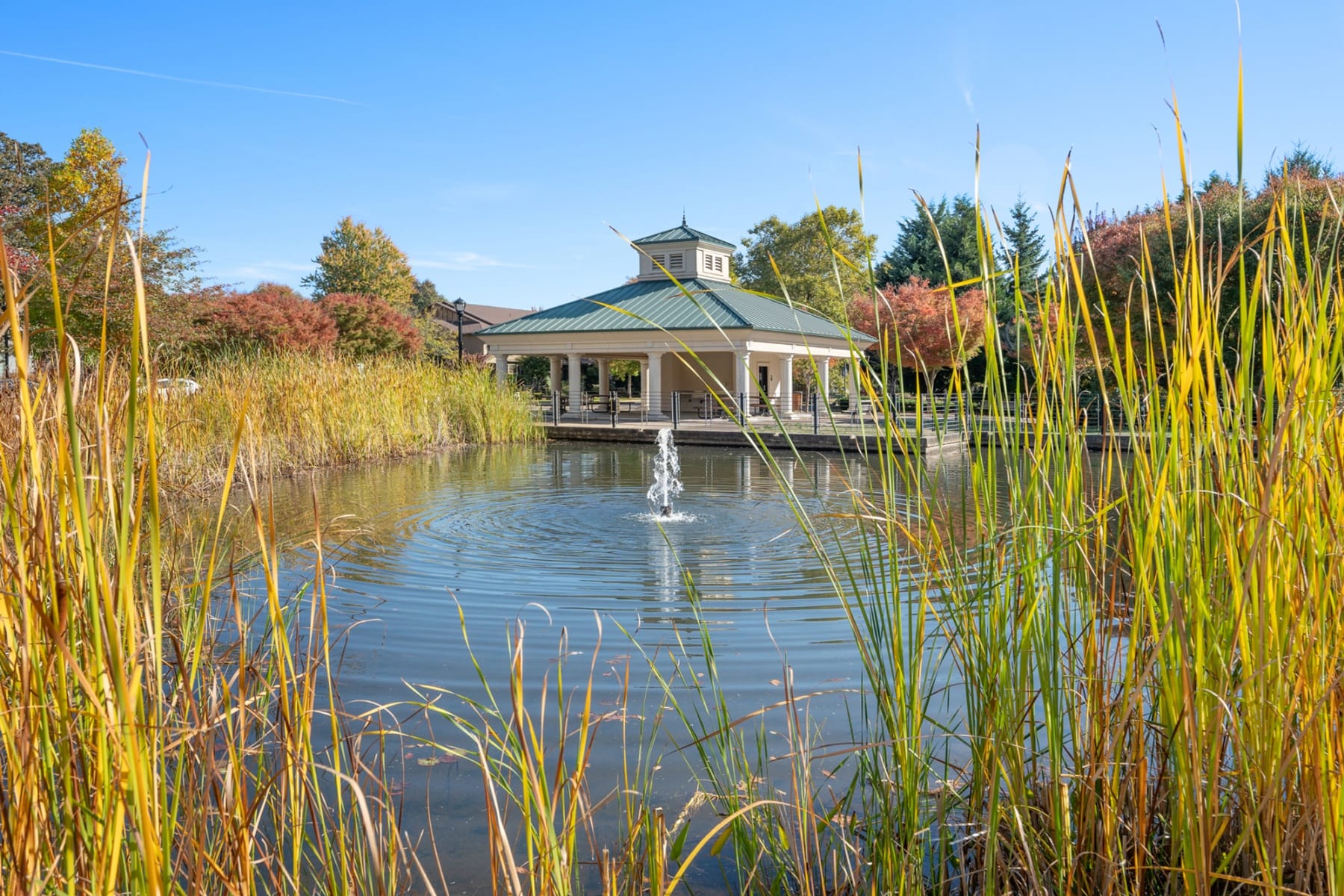  29467 SW MILANO LN Wilsonville, OR 97070 - 物件實景