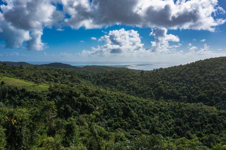 St. Croix, Virgin Islands, 00840, VI, ,Land,For Sale,1792958