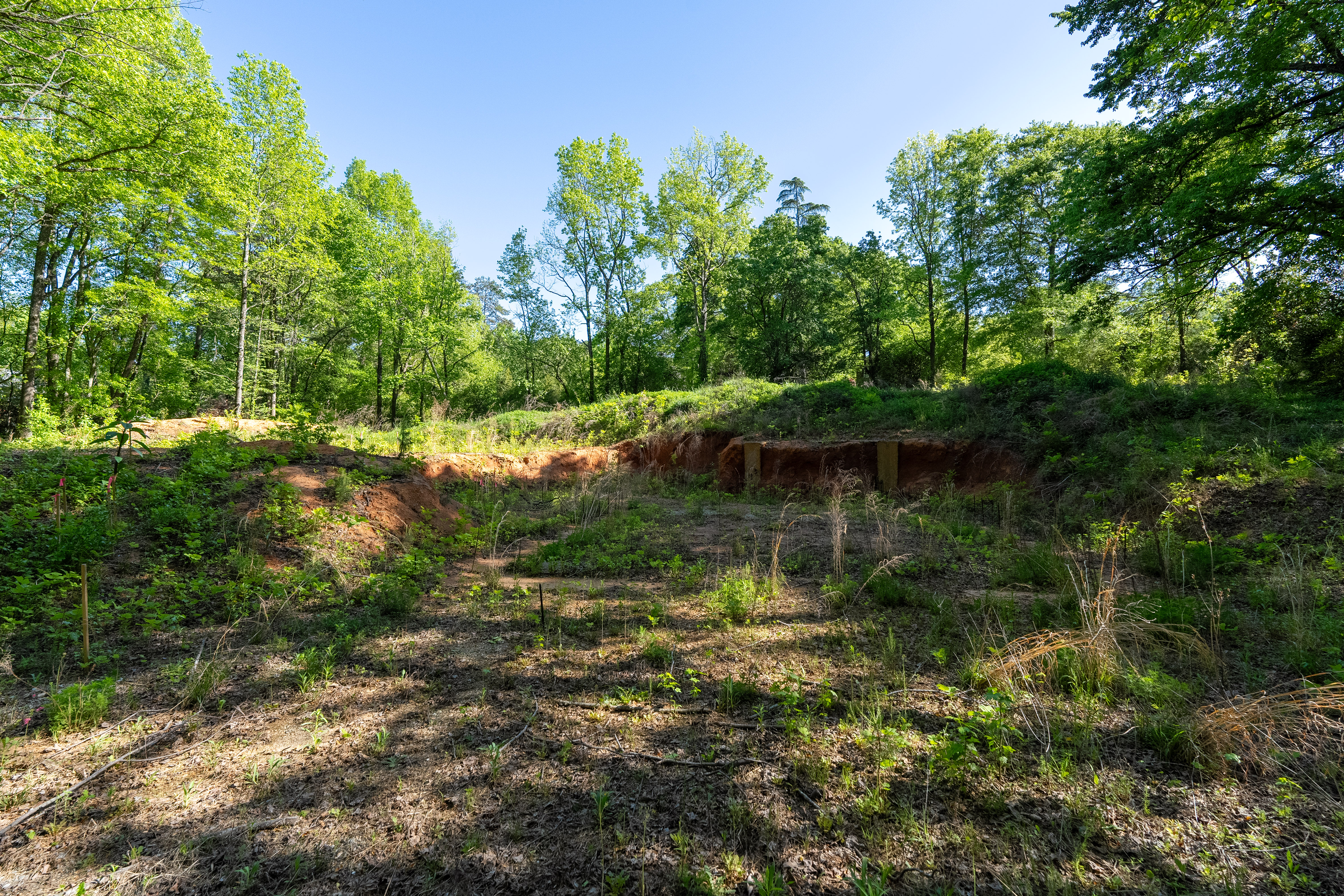  6 Stratton Place, Greenville, SC 29615 - 物件實景