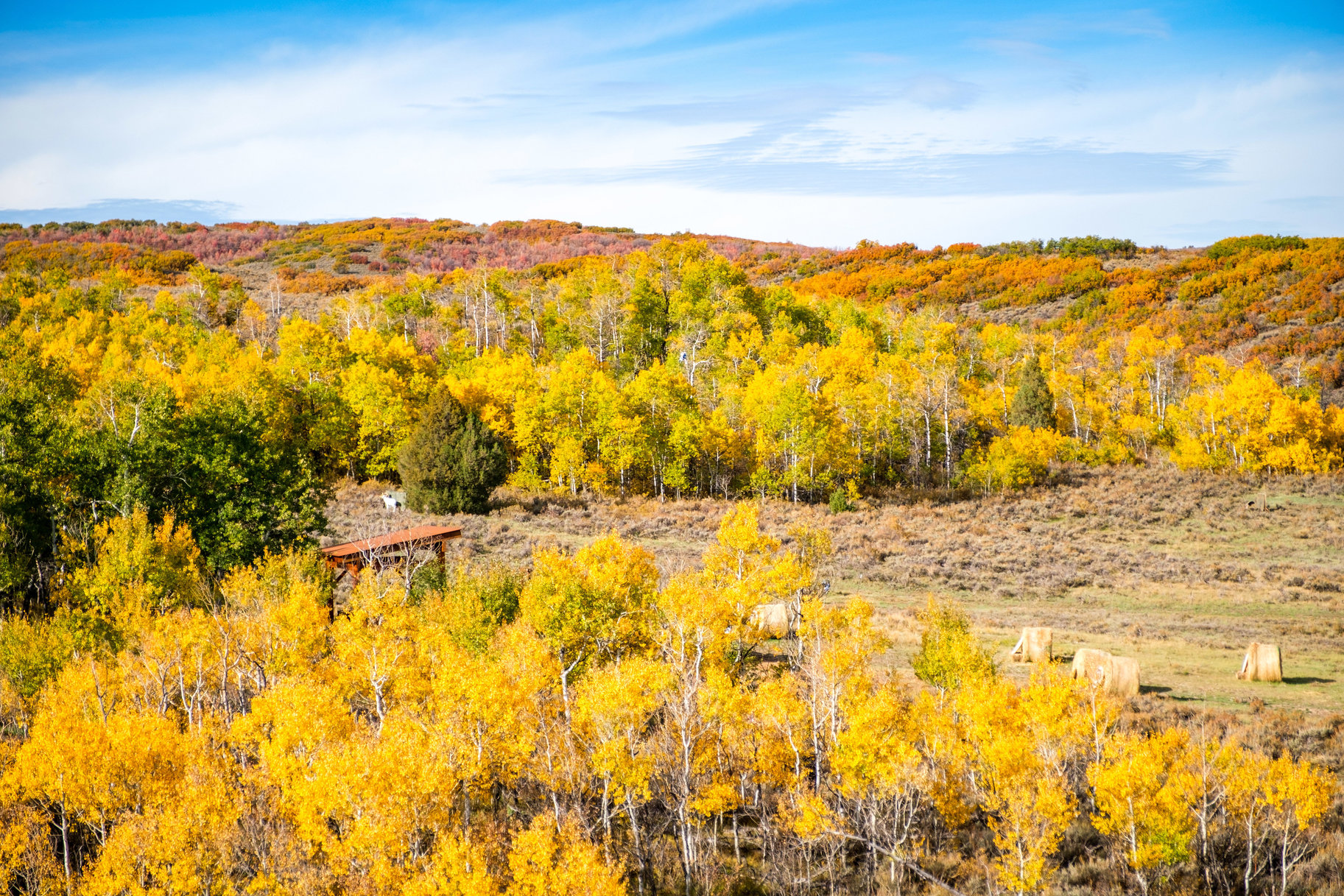  Luxury Juniper Cabin with Deer Valley Views at Victory Ranch - 物件實景