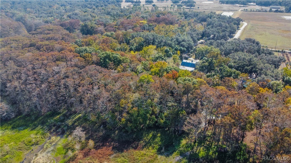 Inverness, Florida, 34450, United States, 4 Bedrooms Bedrooms, ,7 BathroomsBathrooms,Residential,For Sale,2005409