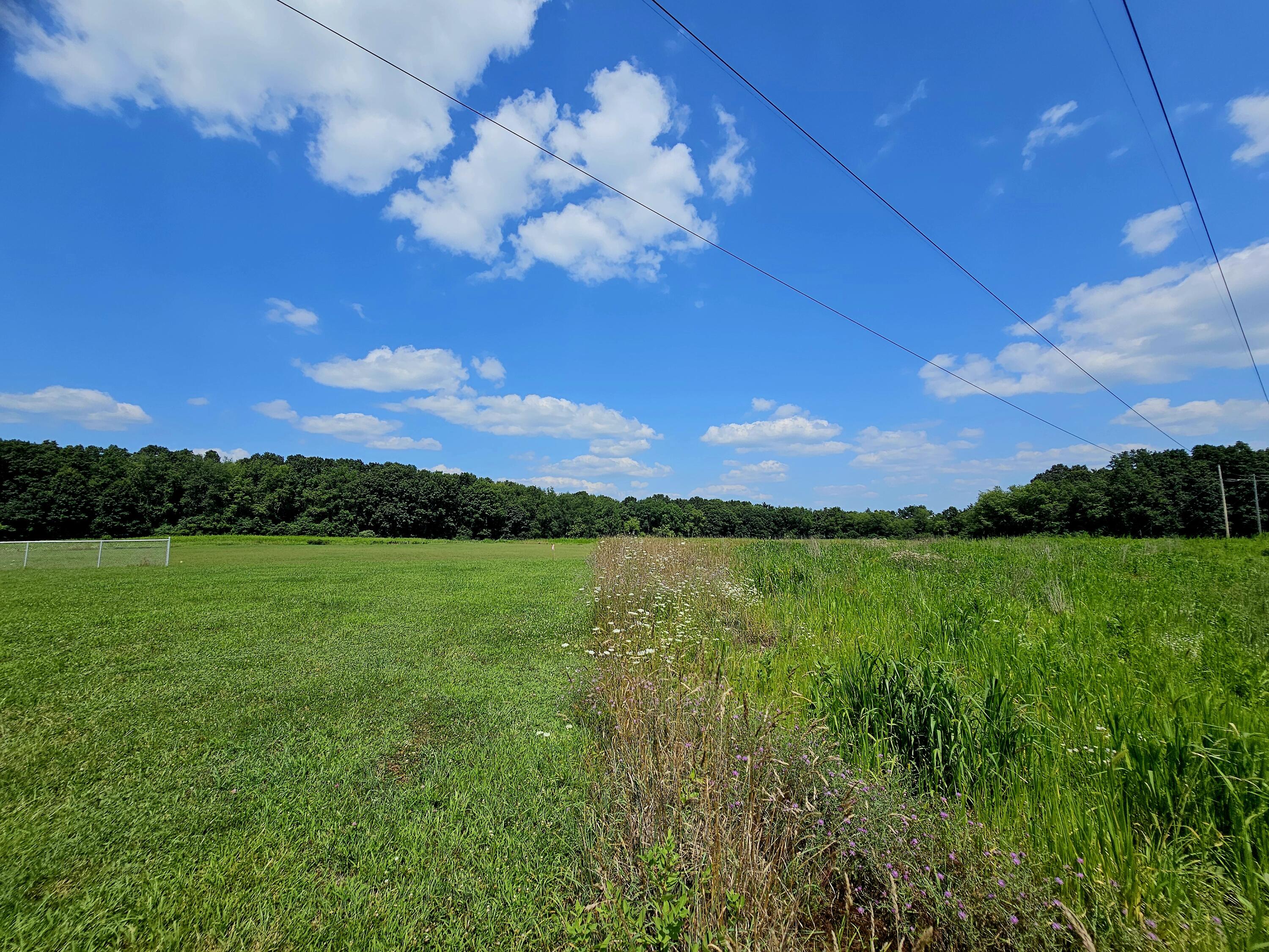 Jonesville, Michigan, 49250, United States, ,Land,For Sale,1975283