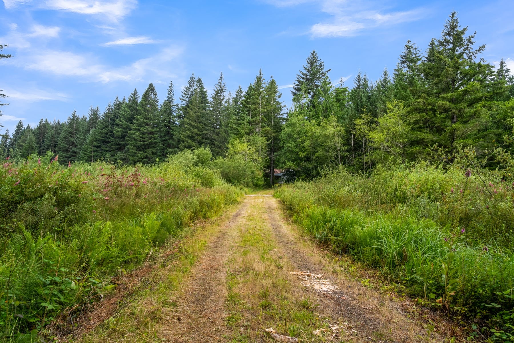  3832 NE CAVITT RD Camas, WA 98607 - 物件實景