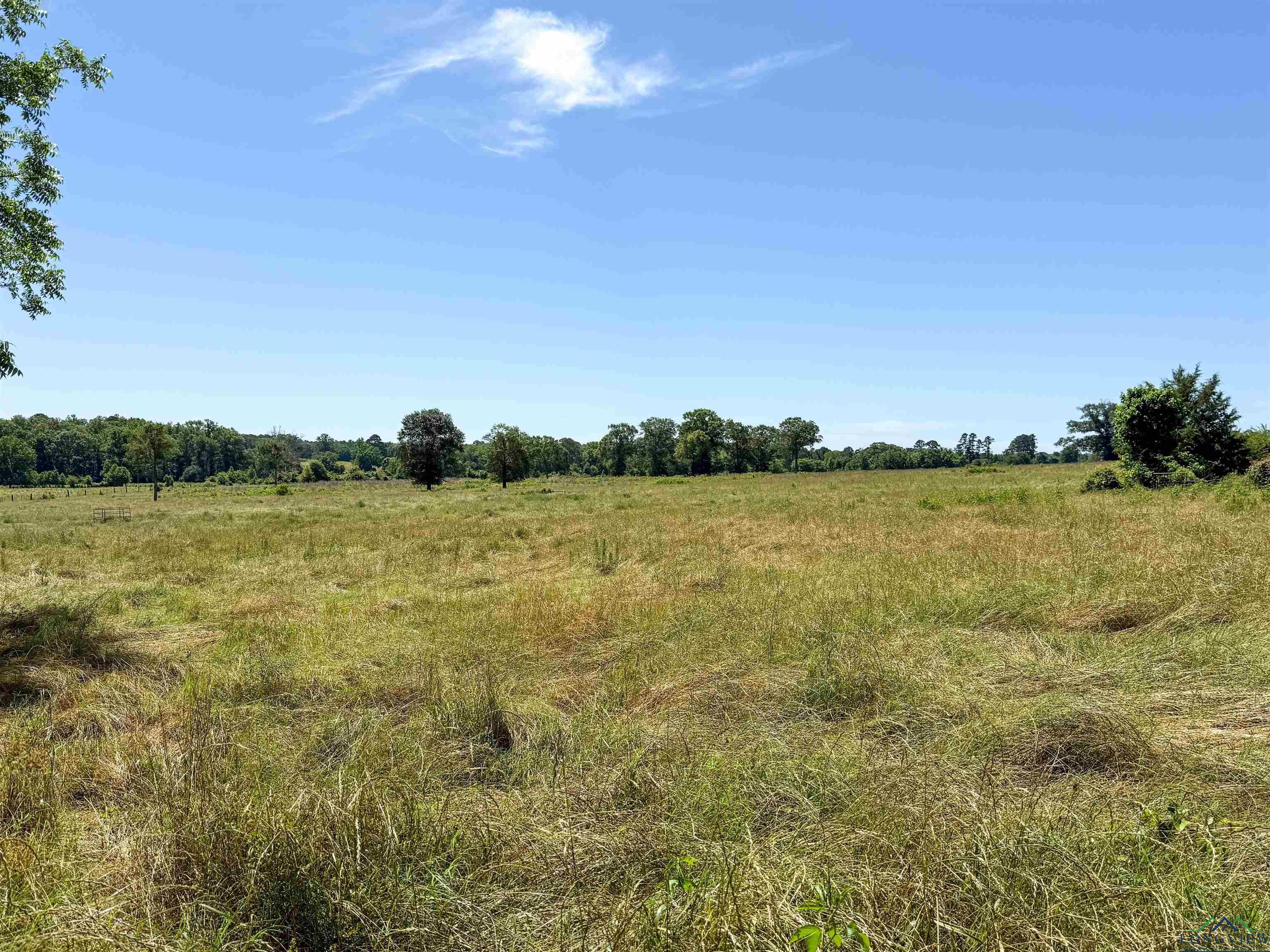 7557 FM 248, Lodi, Texas, 75564, United States, ,Residential,For Sale,7557 FM 248,1614560