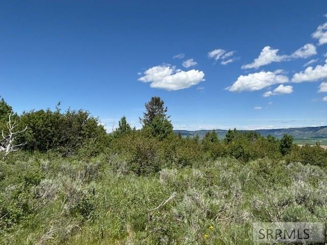 RIRIE, Idaho, 83443, United States, ,Residential,For Sale,1974893