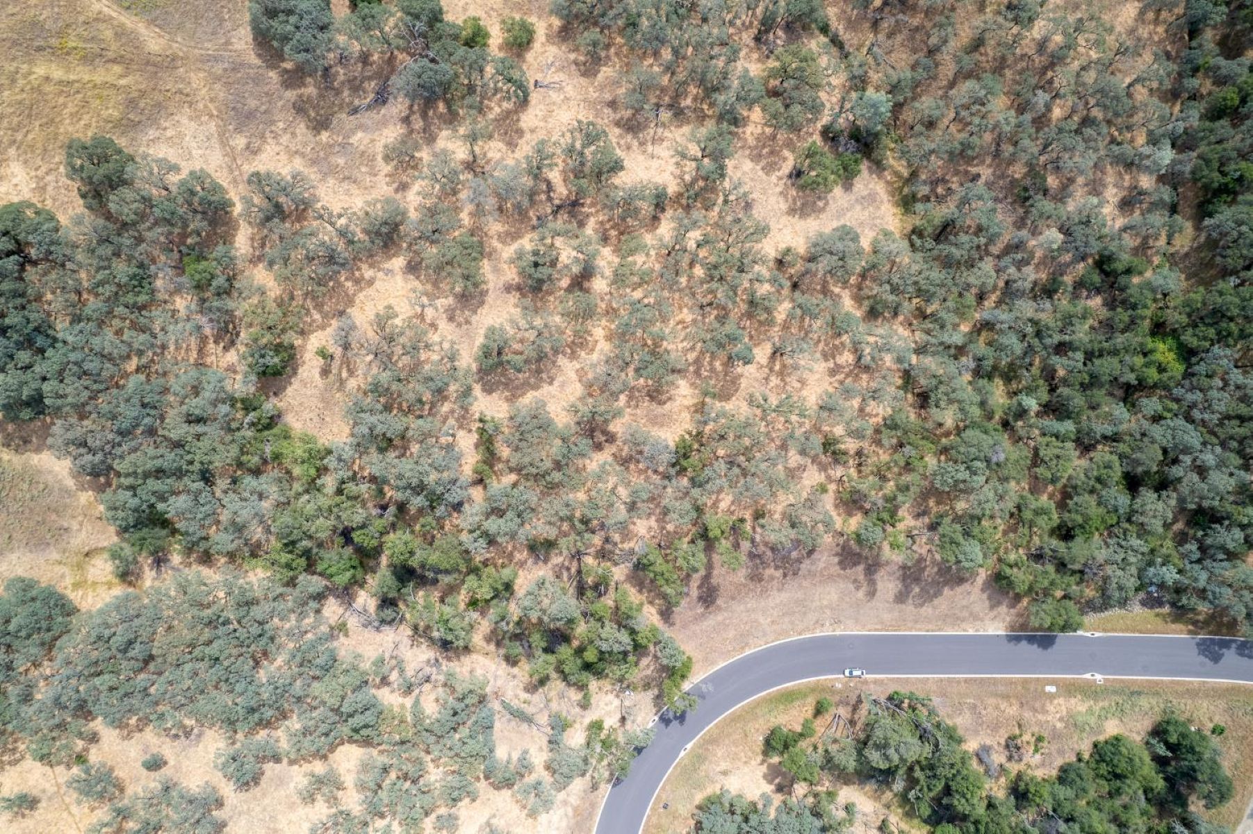  6777 Western Sierra Way, El Dorado Hills, CA 95762 - 物件實景